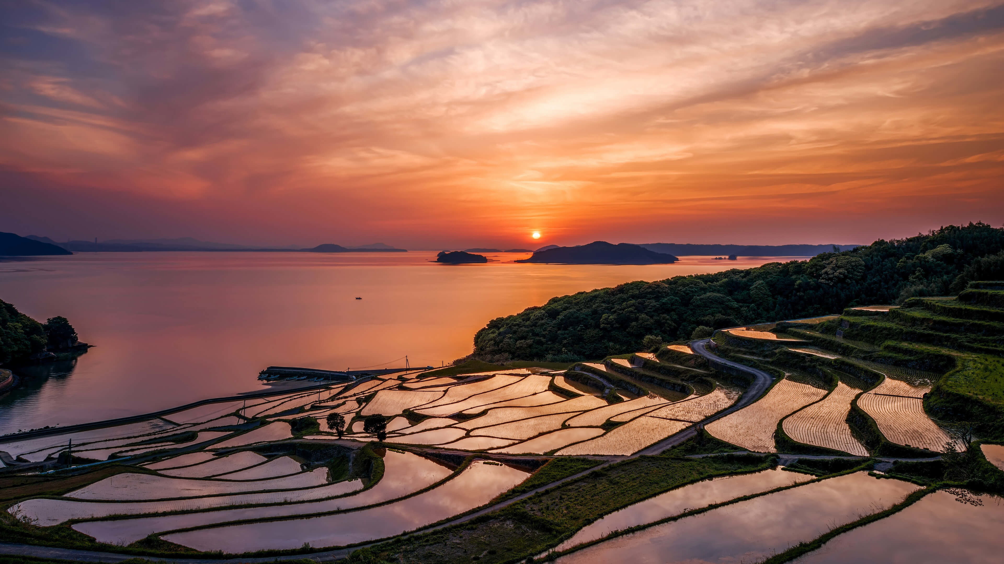 Rice Terrace New 4K Wallpapers