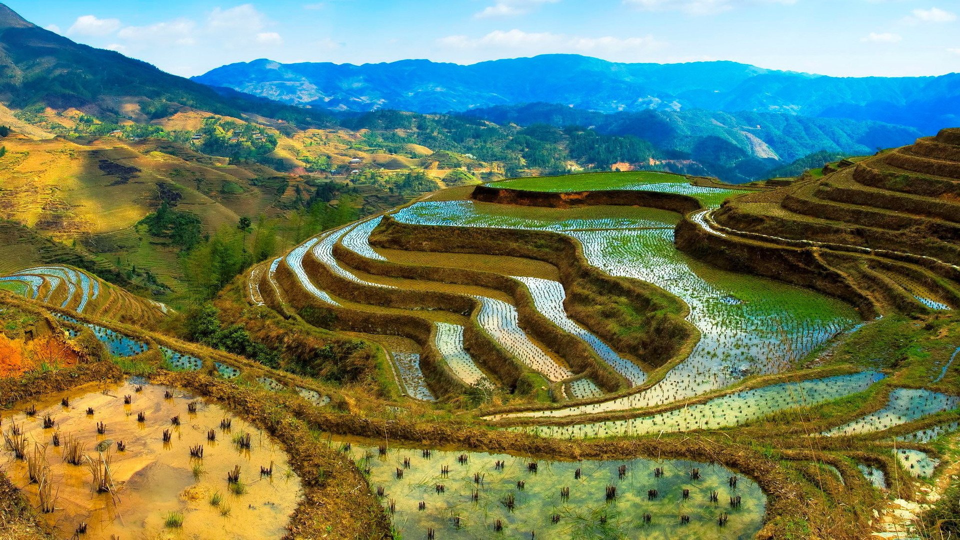 Rice Terrace New 4K Wallpapers