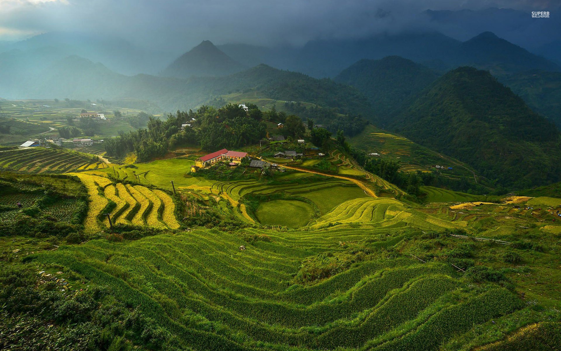 Rice Terrace New 4K Wallpapers