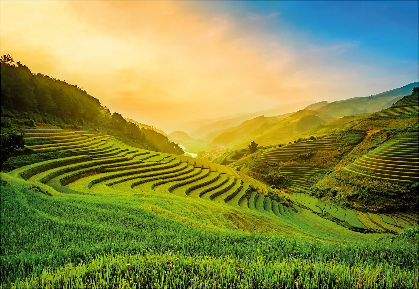 Rice Terrace New 4K Wallpapers