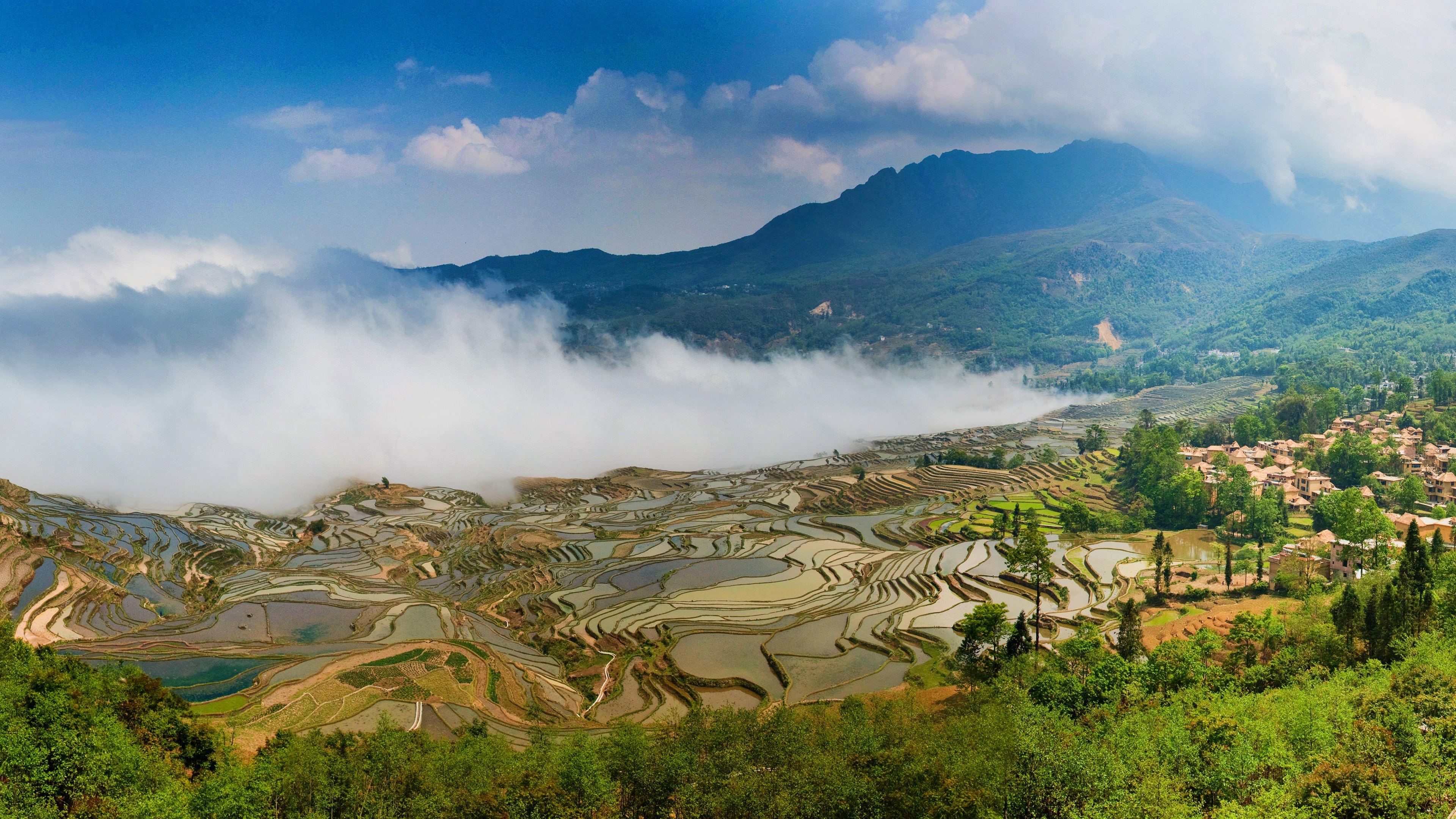 Rice Terrace New 4K Wallpapers