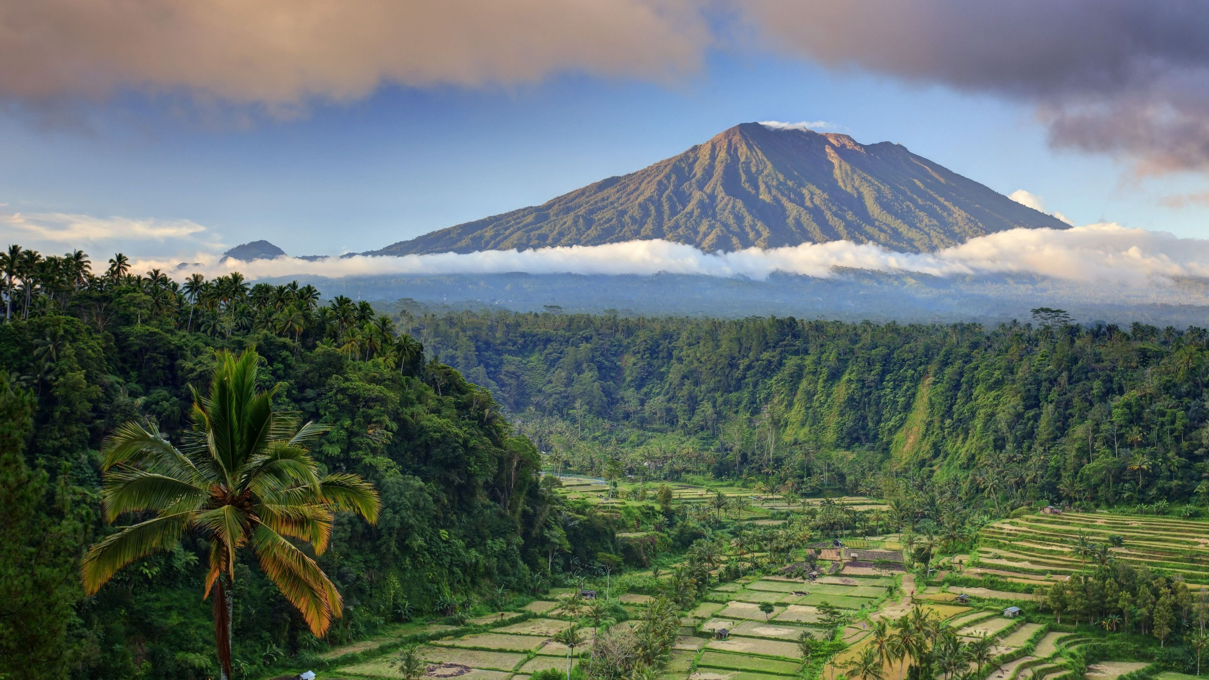 Rice Terrace New 4K Wallpapers