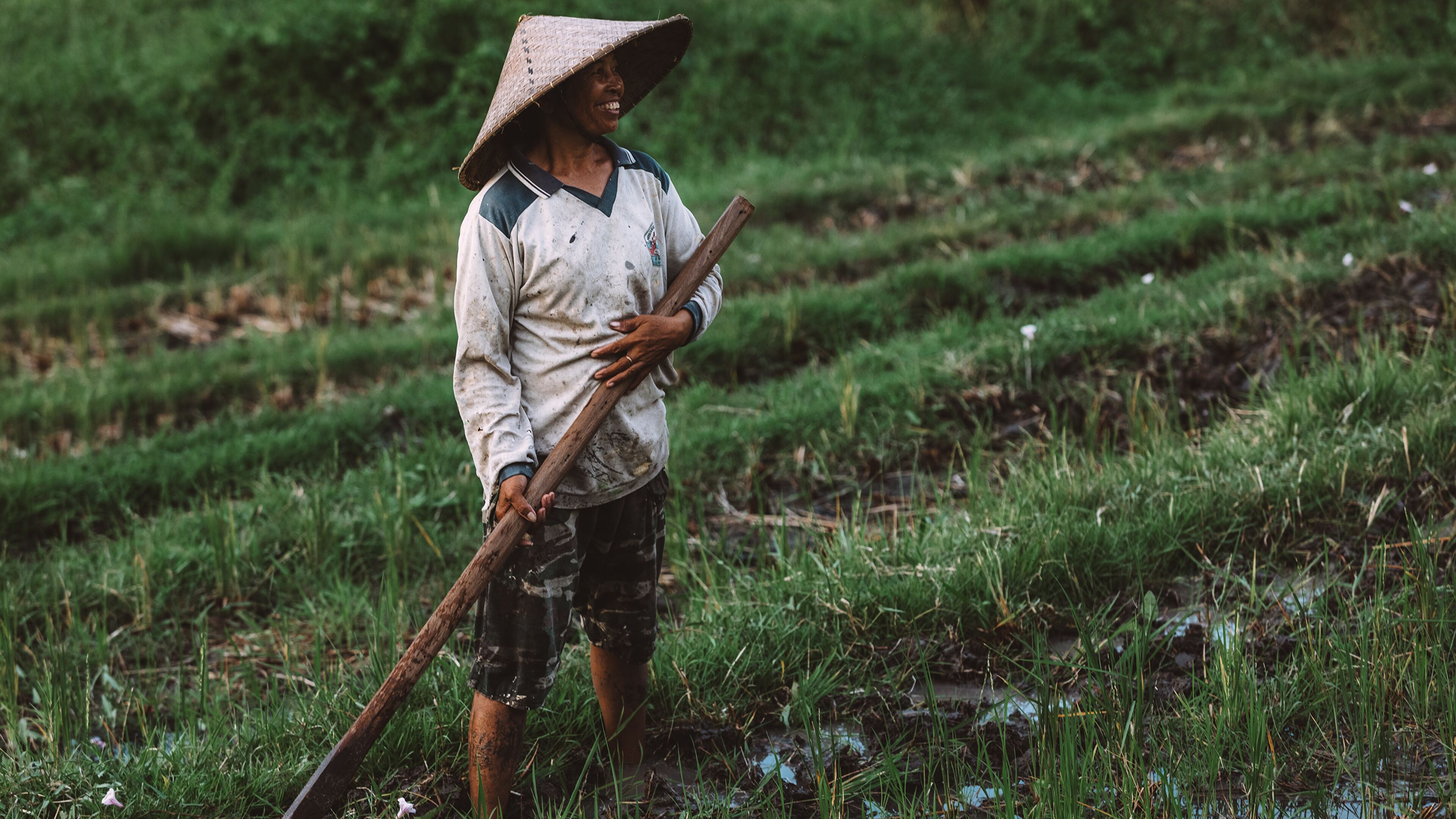 Rice Terrace New 4K Wallpapers