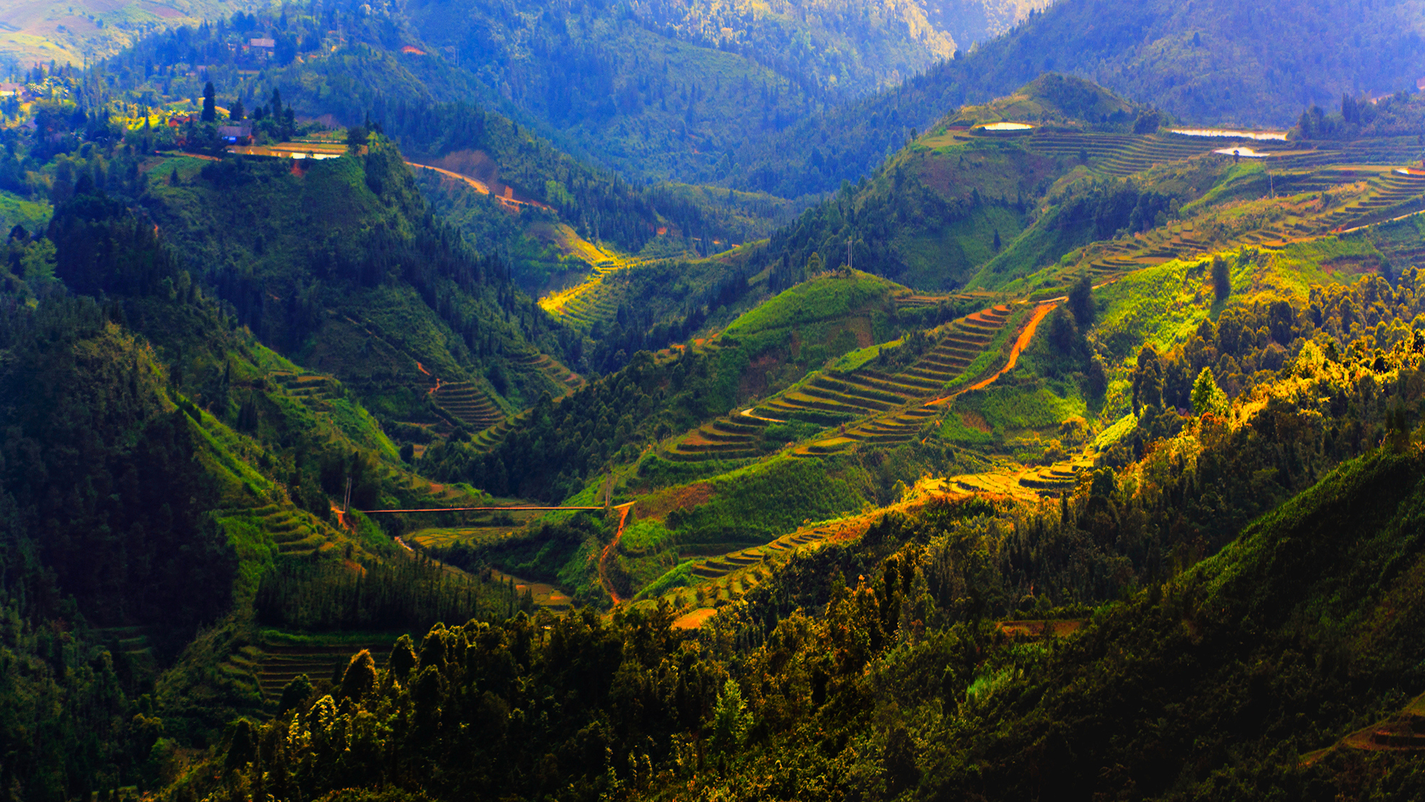 Rice Terrace New 4K Wallpapers