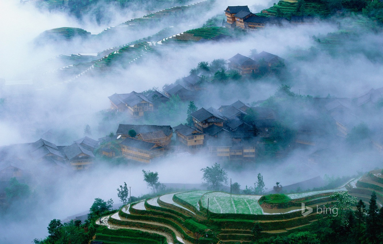 Rice Terrace Wallpapers