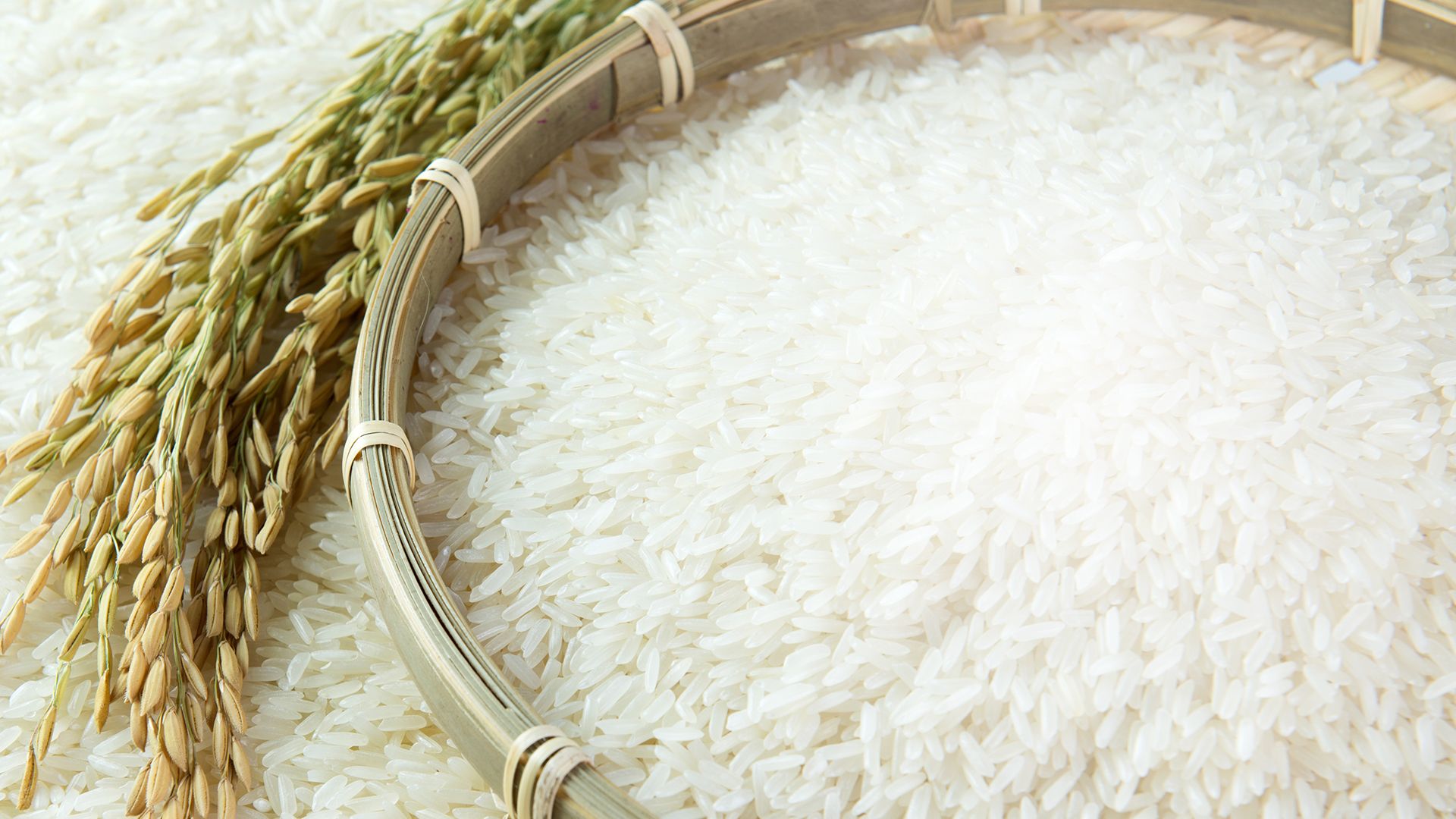 Rice Wallpapers