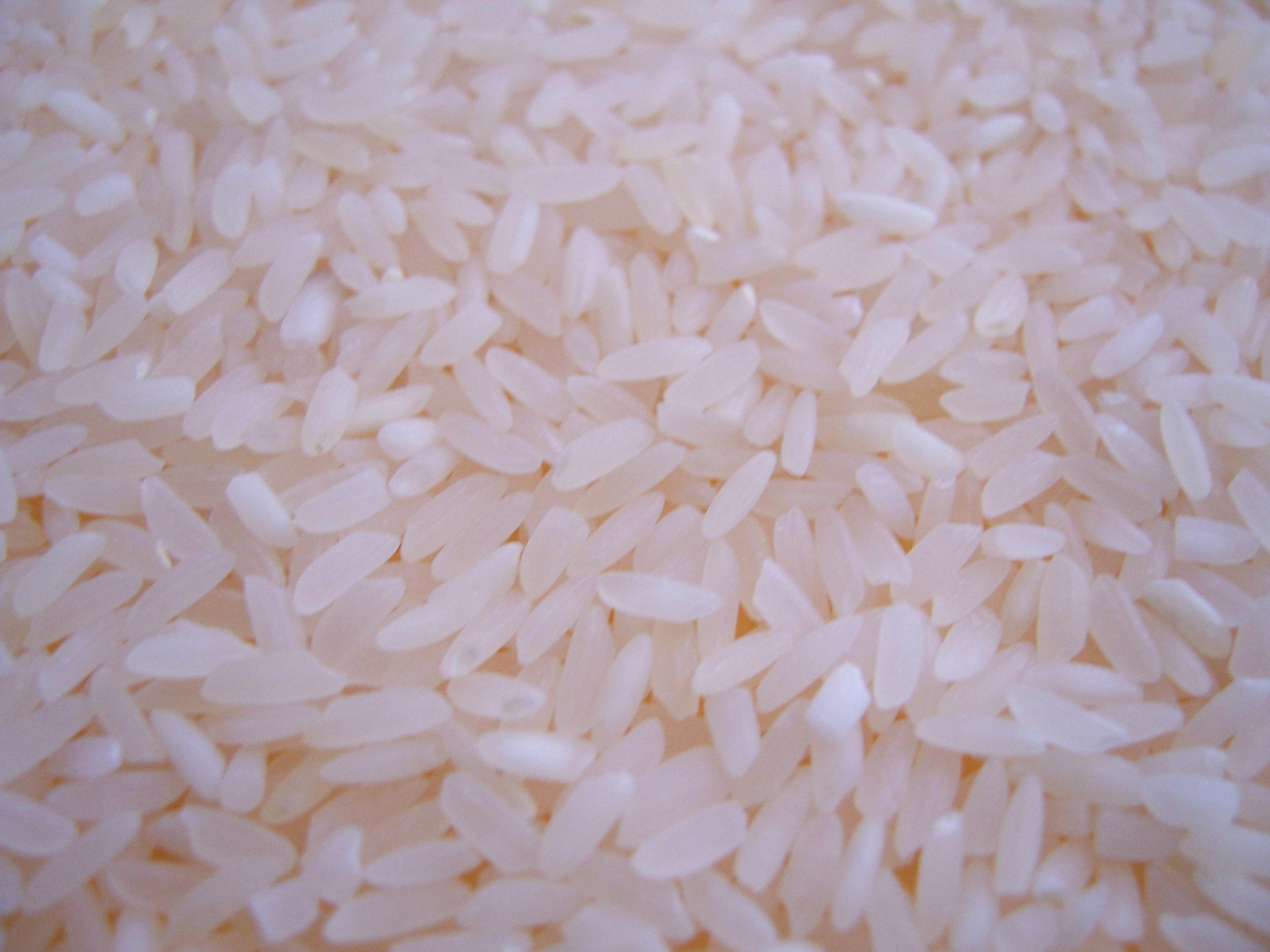 Rice Wallpapers