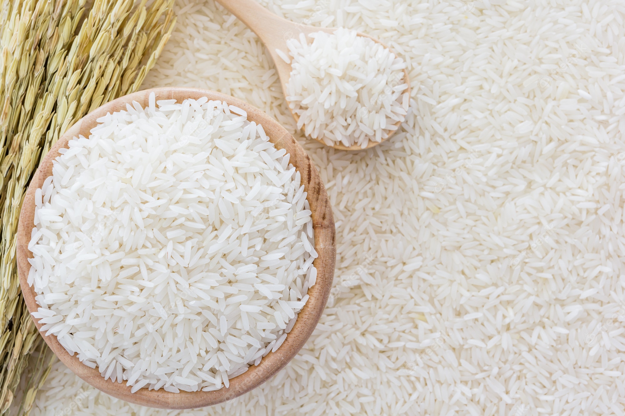 Rice Wallpapers