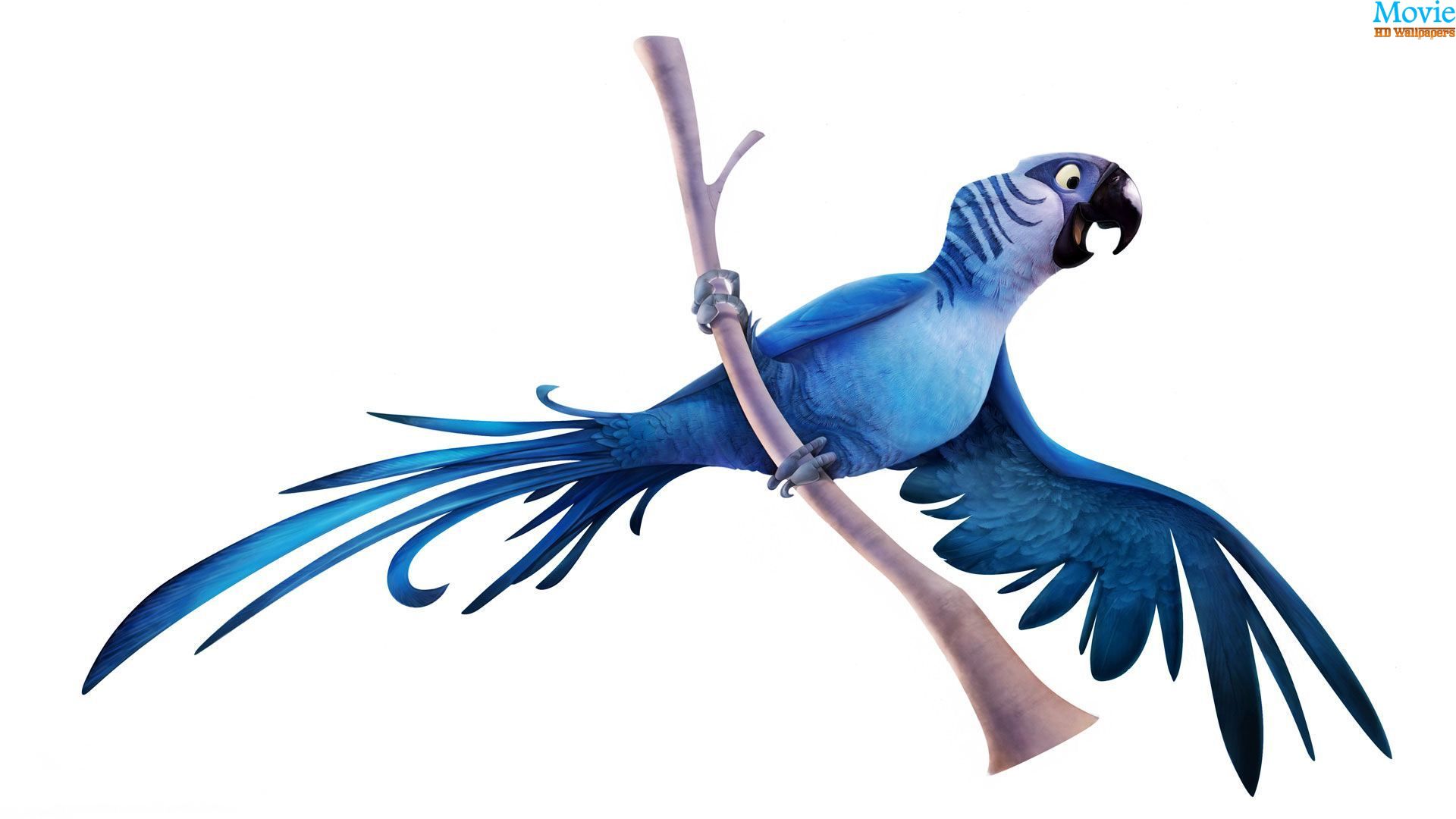 Rio 2 Wallpapers