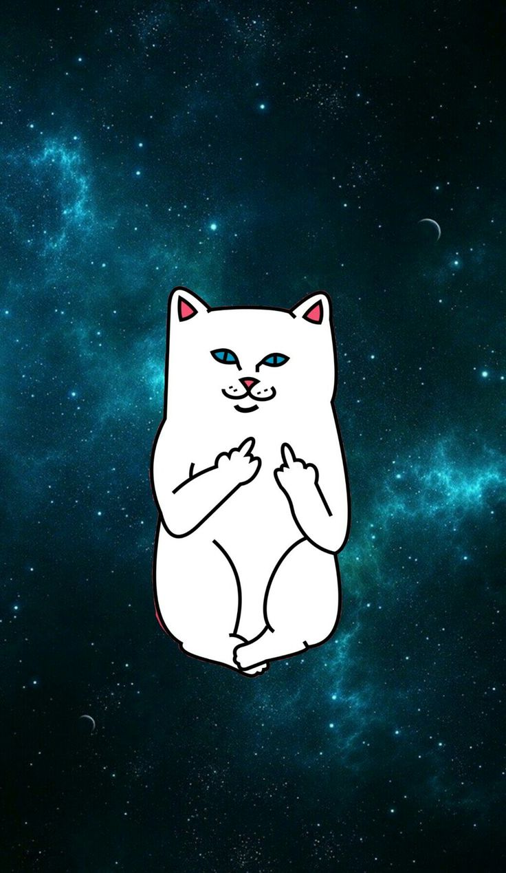 Ripndip Cat Wallpapers