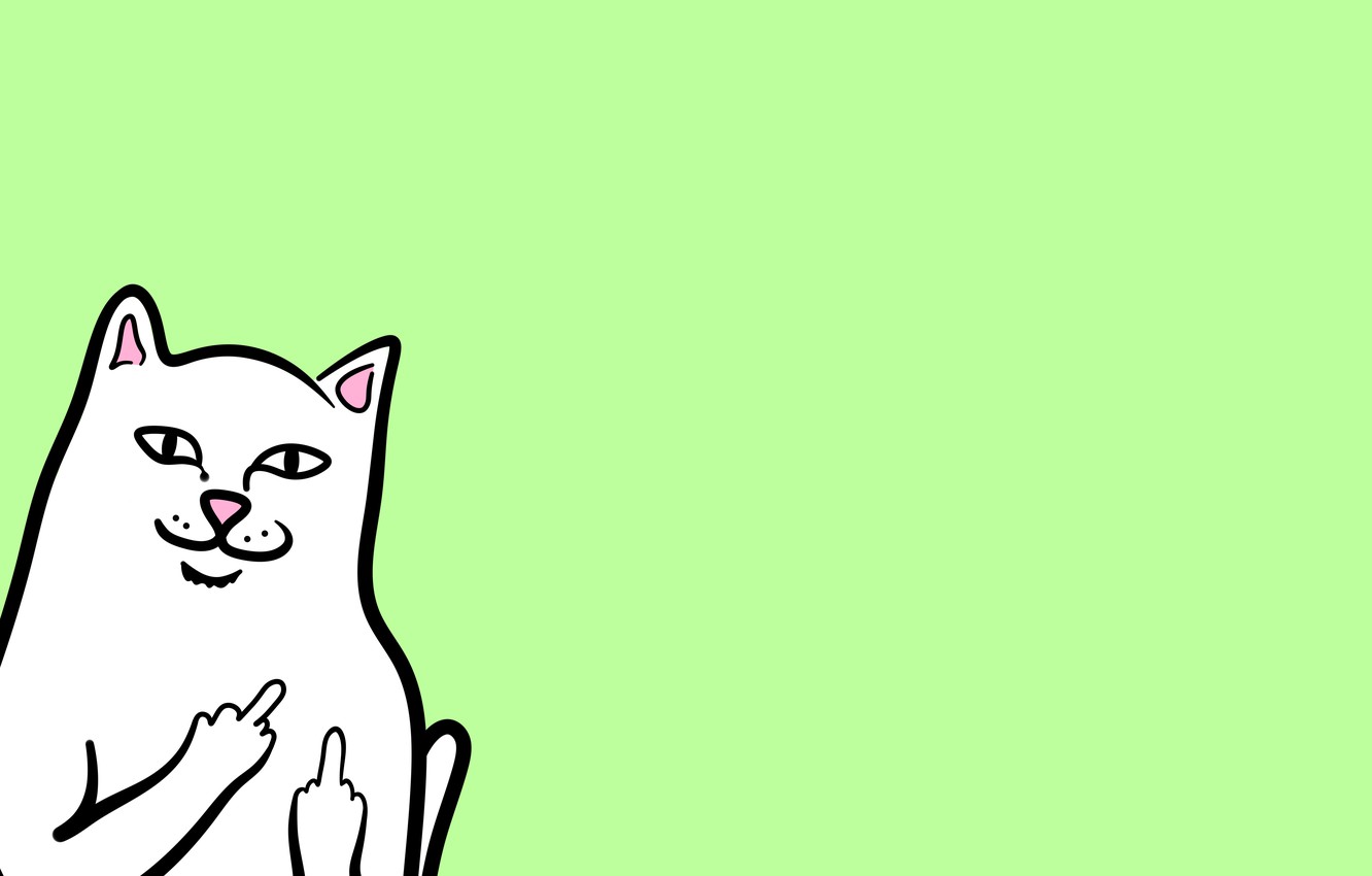 Ripndip Cat Wallpapers