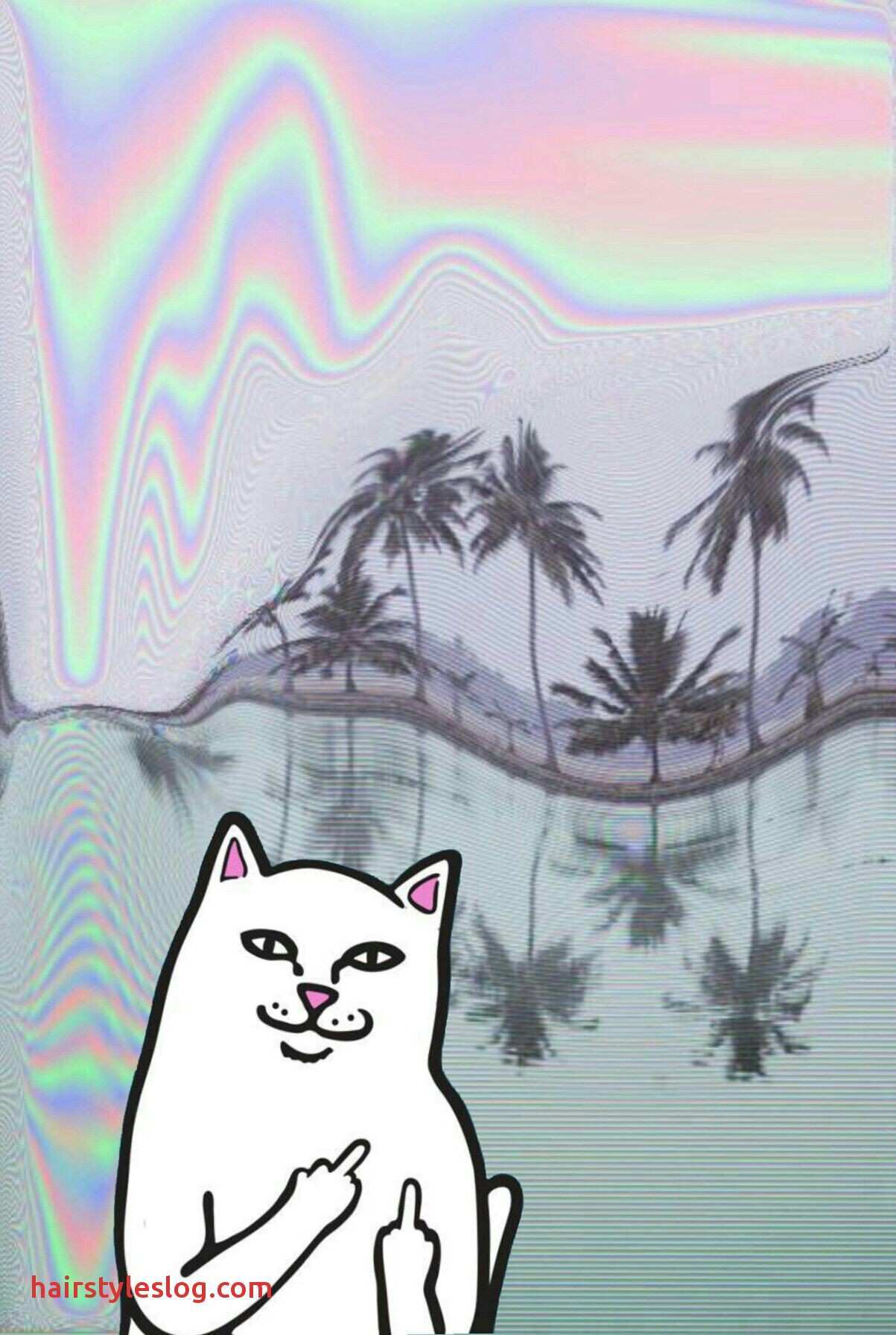 Ripndip Laptop Wallpapers