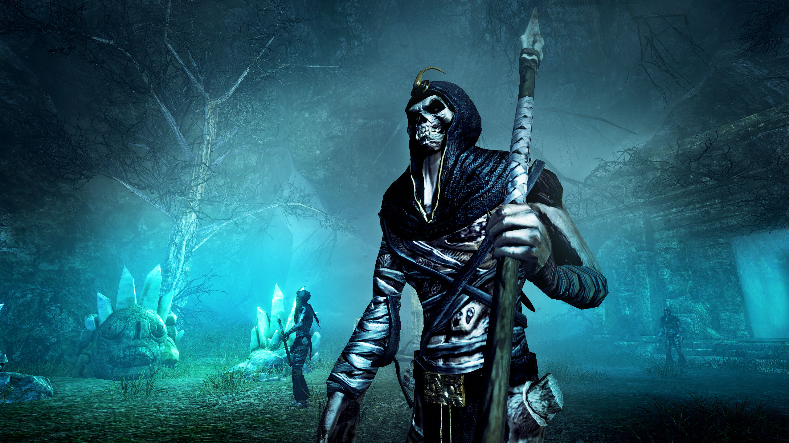 Risen 2: Dark Waters Wallpapers