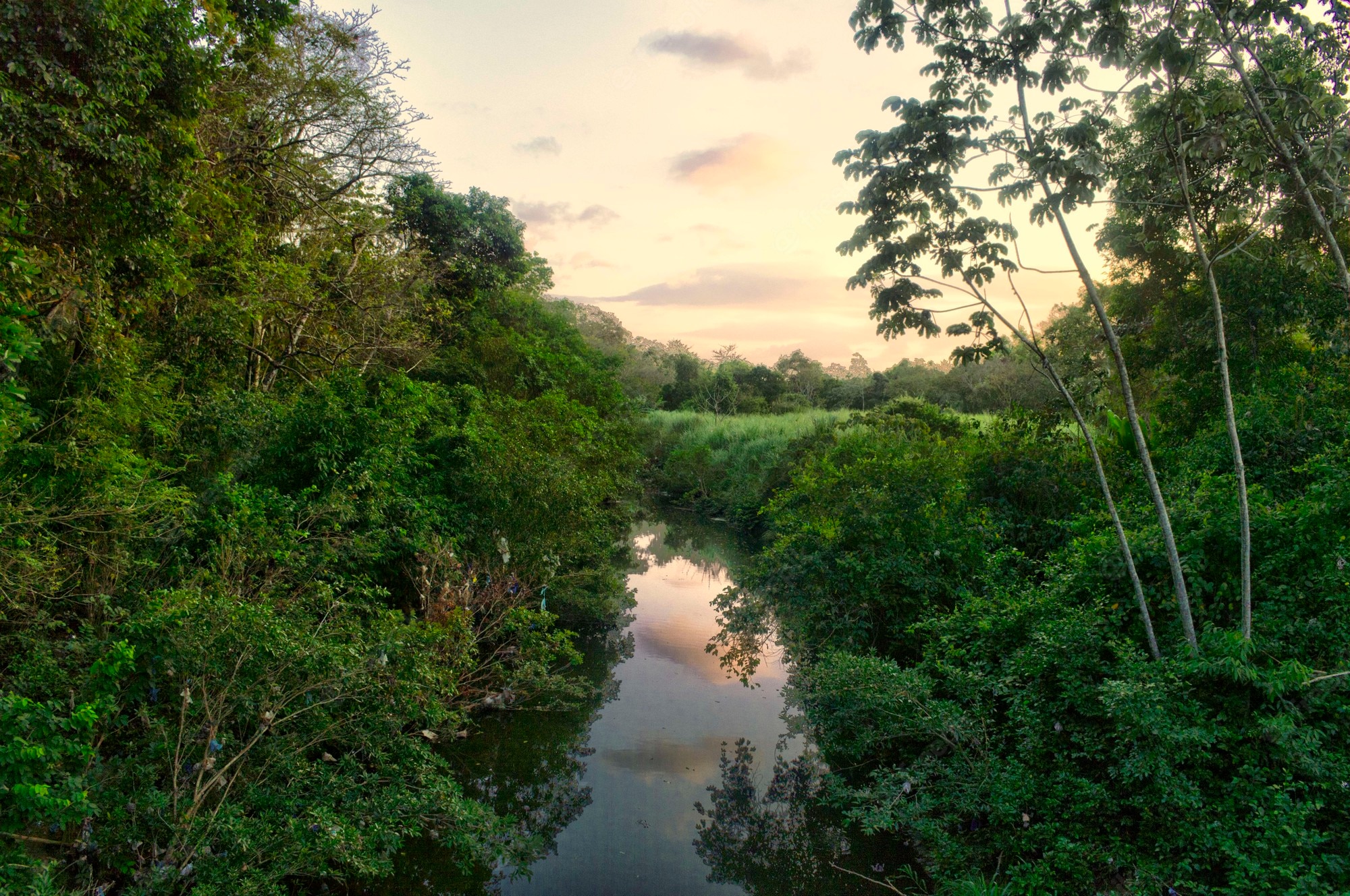 River And Forest Sunset Drone View Wallpapers