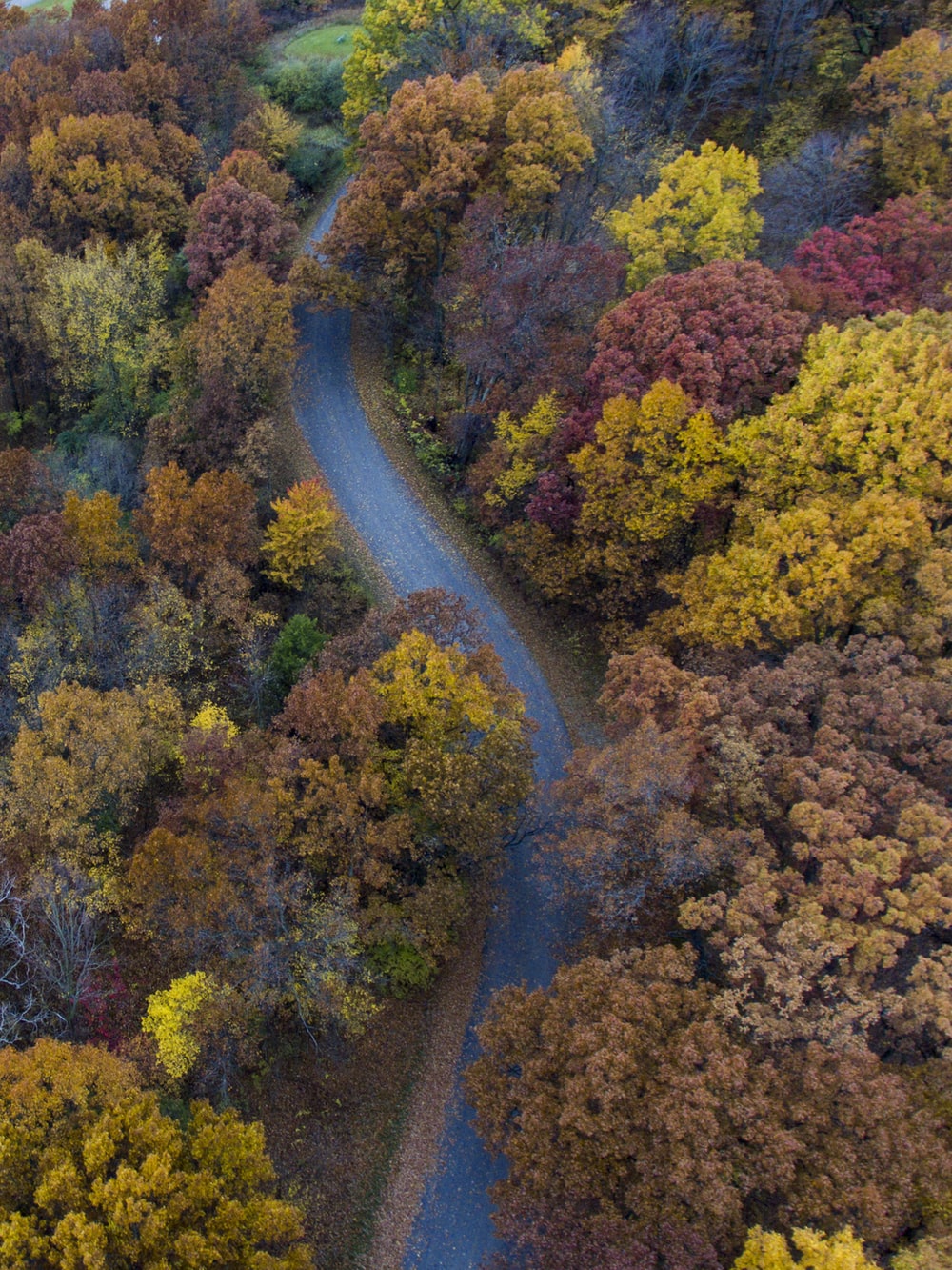 River And Forest Sunset Drone View Wallpapers