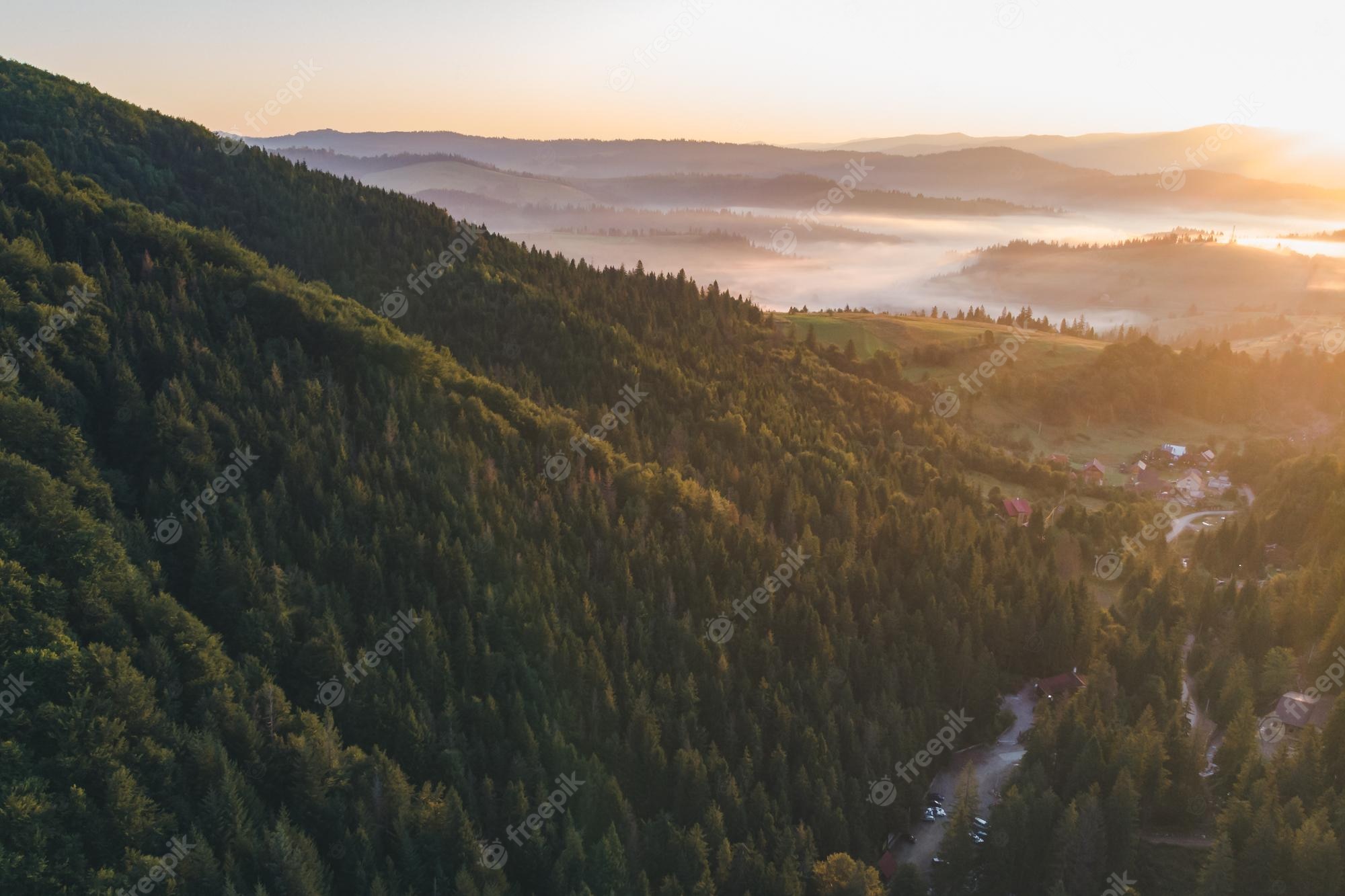 River And Forest Sunset Drone View Wallpapers