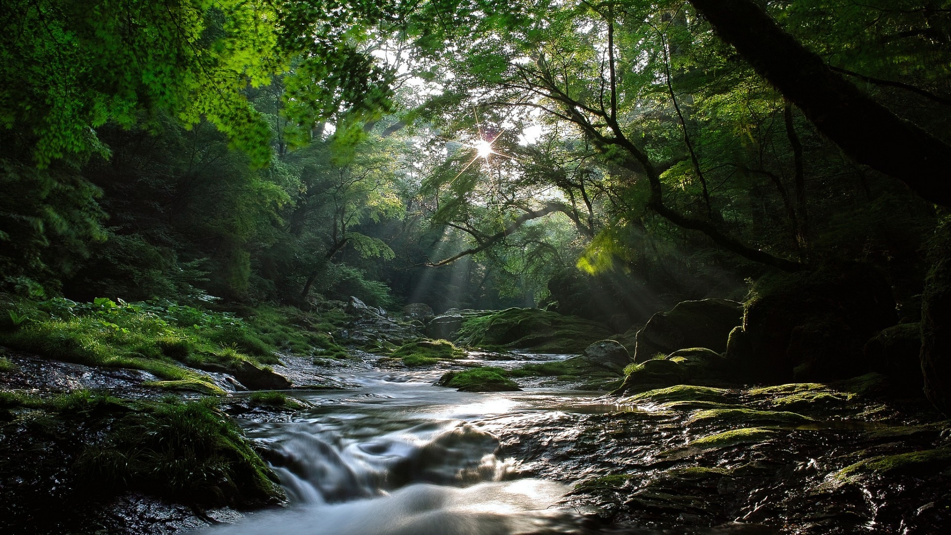 River Desktop Backgrounds