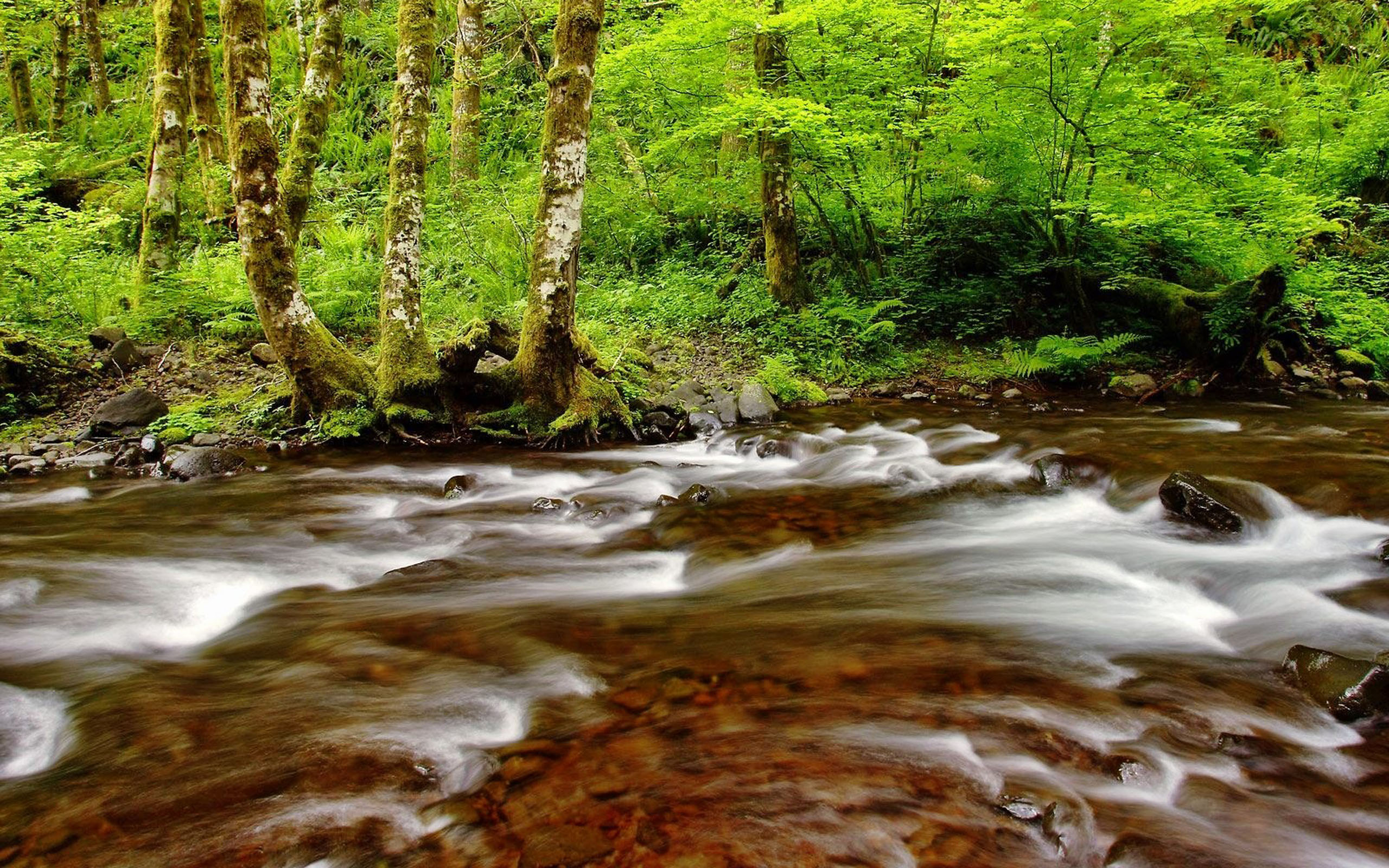 River Desktop Backgrounds