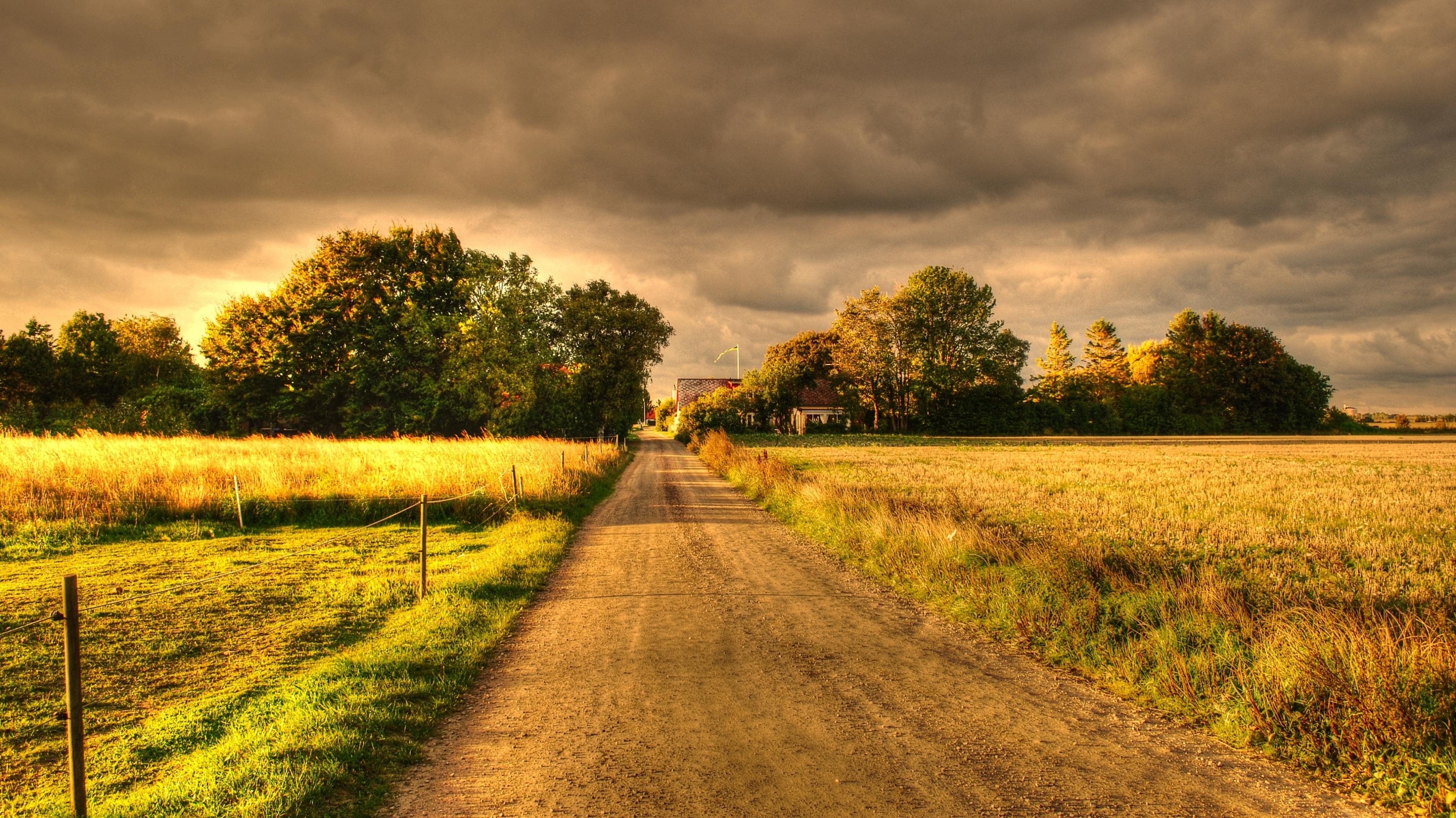 Road Between Green Yellow Autumn Fall Field Wallpapers