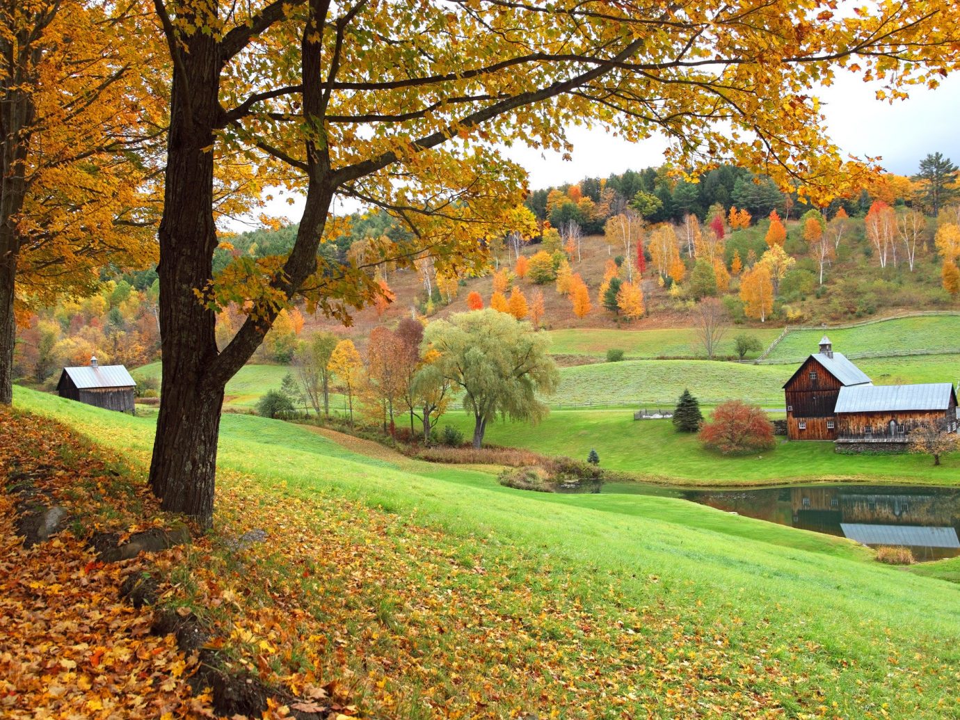 Road Between Green Yellow Autumn Fall Field Wallpapers