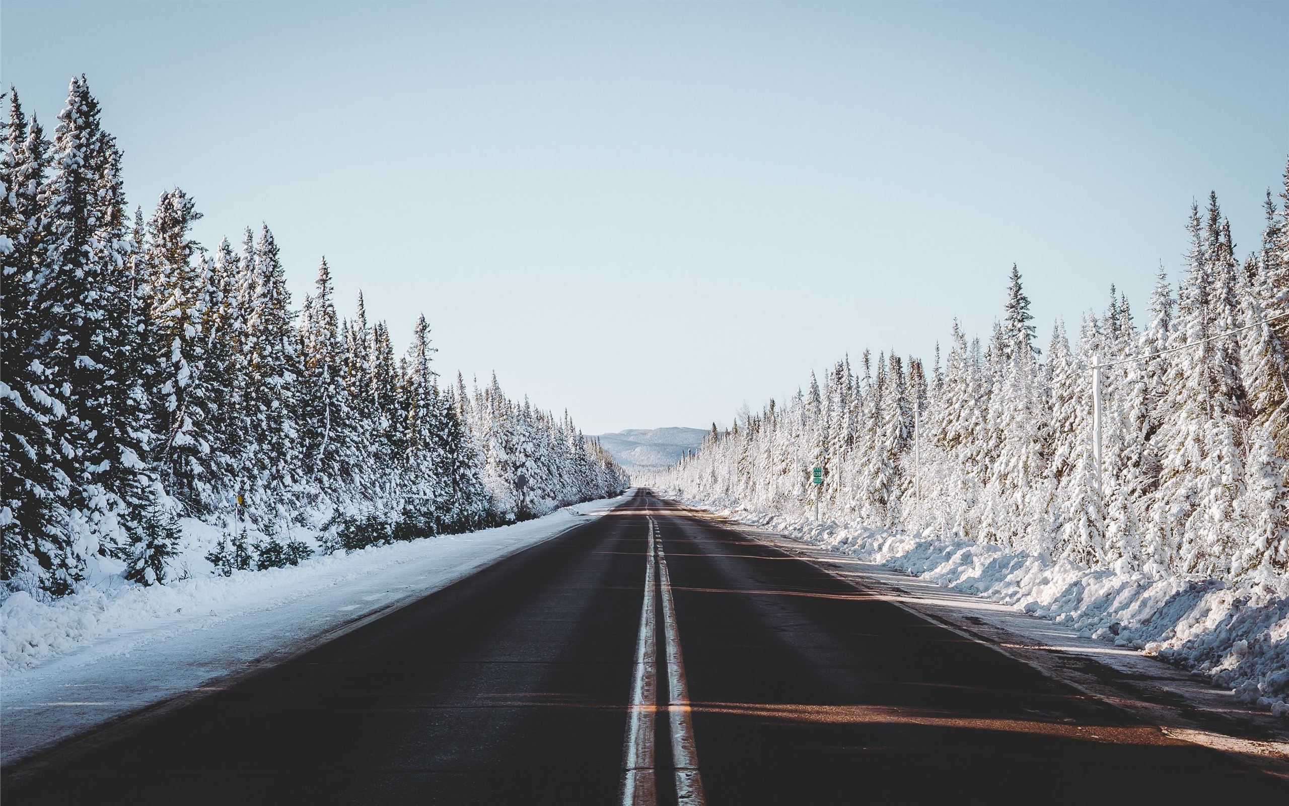 Road Between Snow Covered Trees Wallpapers