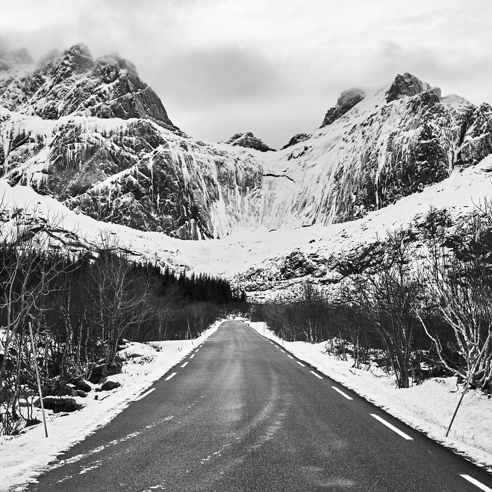 Road Between Snow Covered Trees Wallpapers