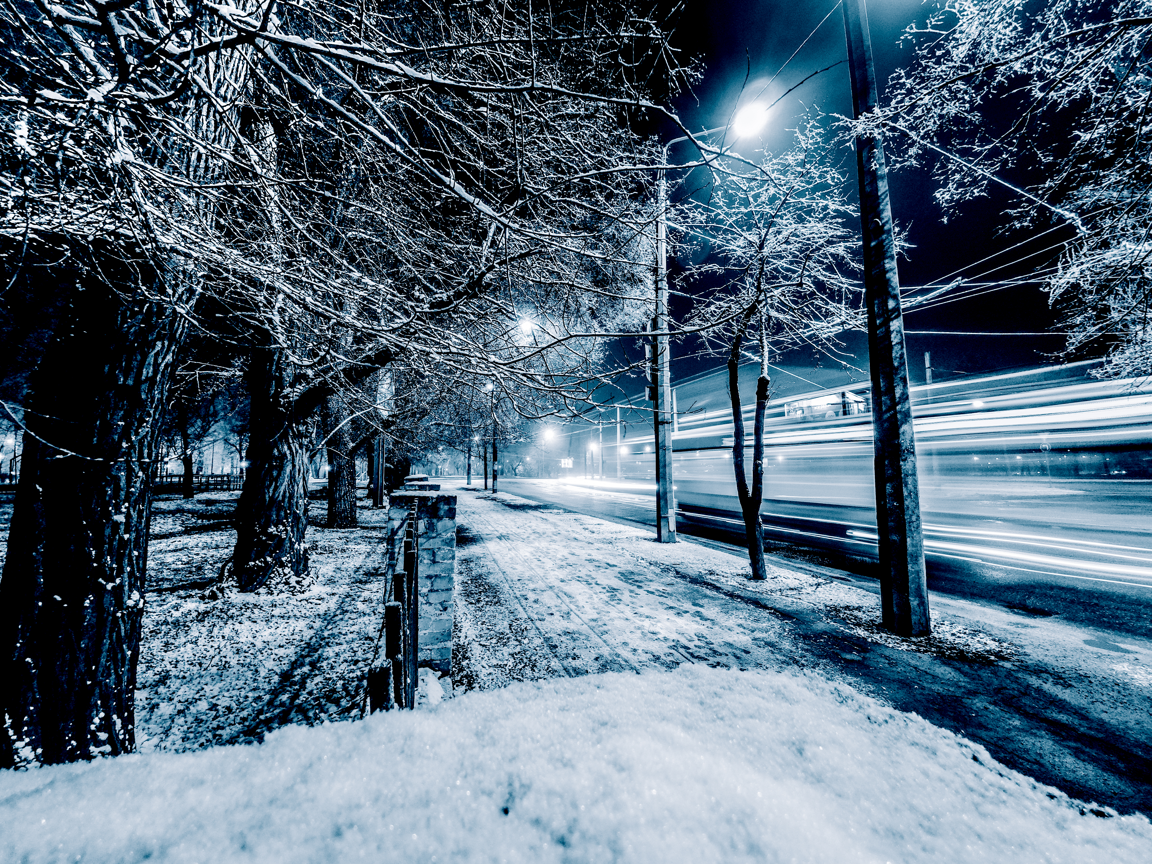 Road Between Snow Covered Trees Wallpapers