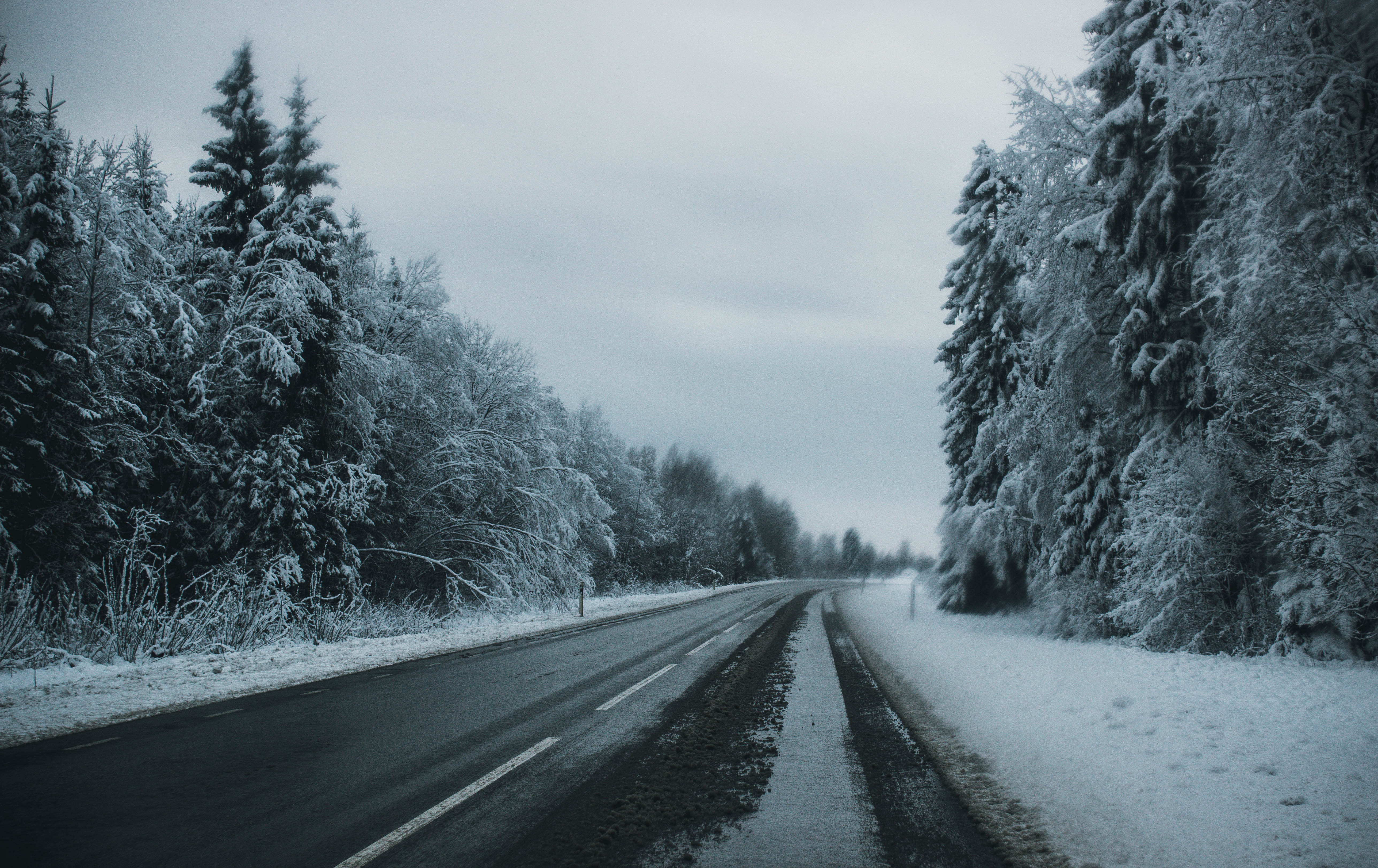 Road Between Snow Covered Trees Wallpapers