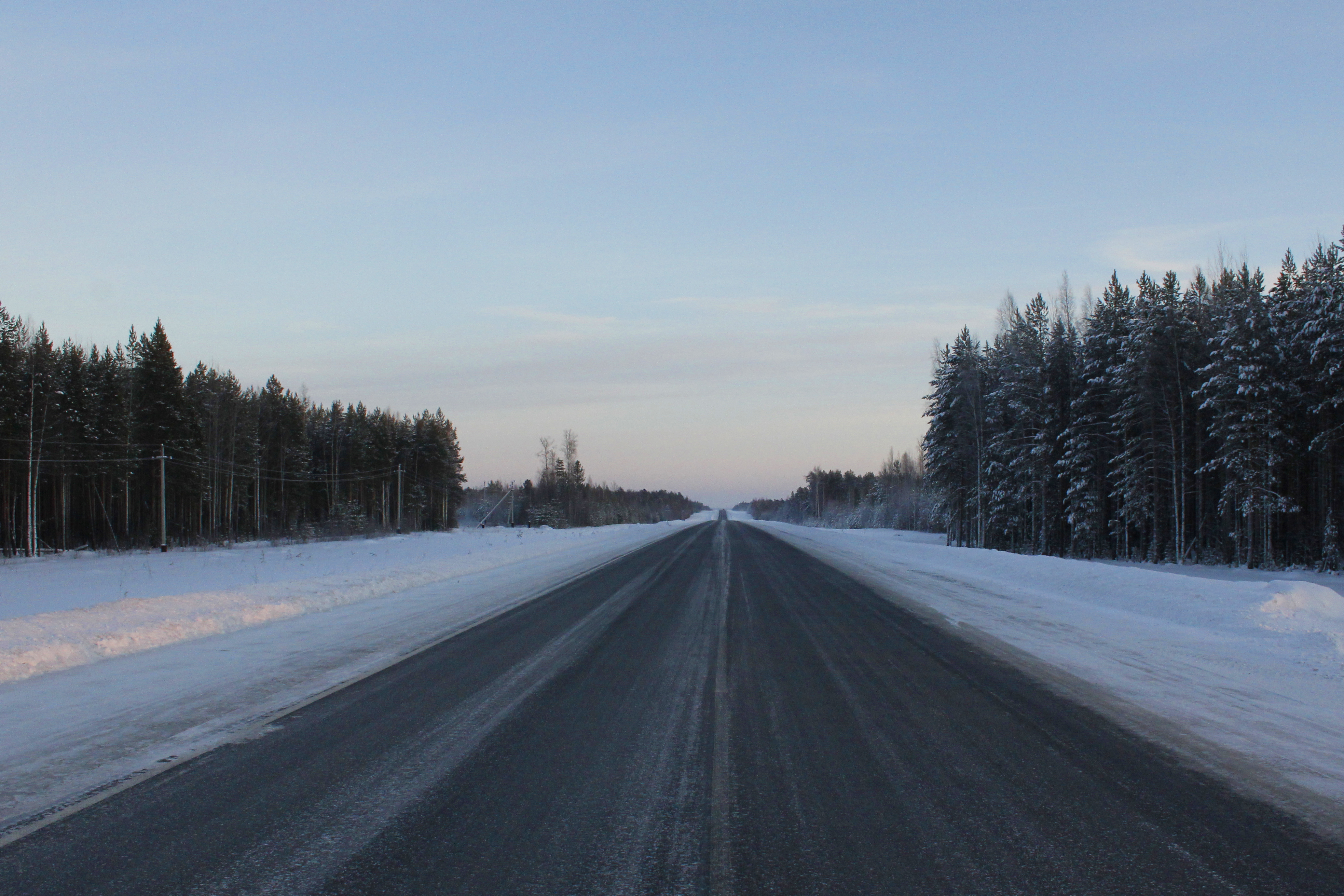 Road Between Snow Covered Trees Wallpapers