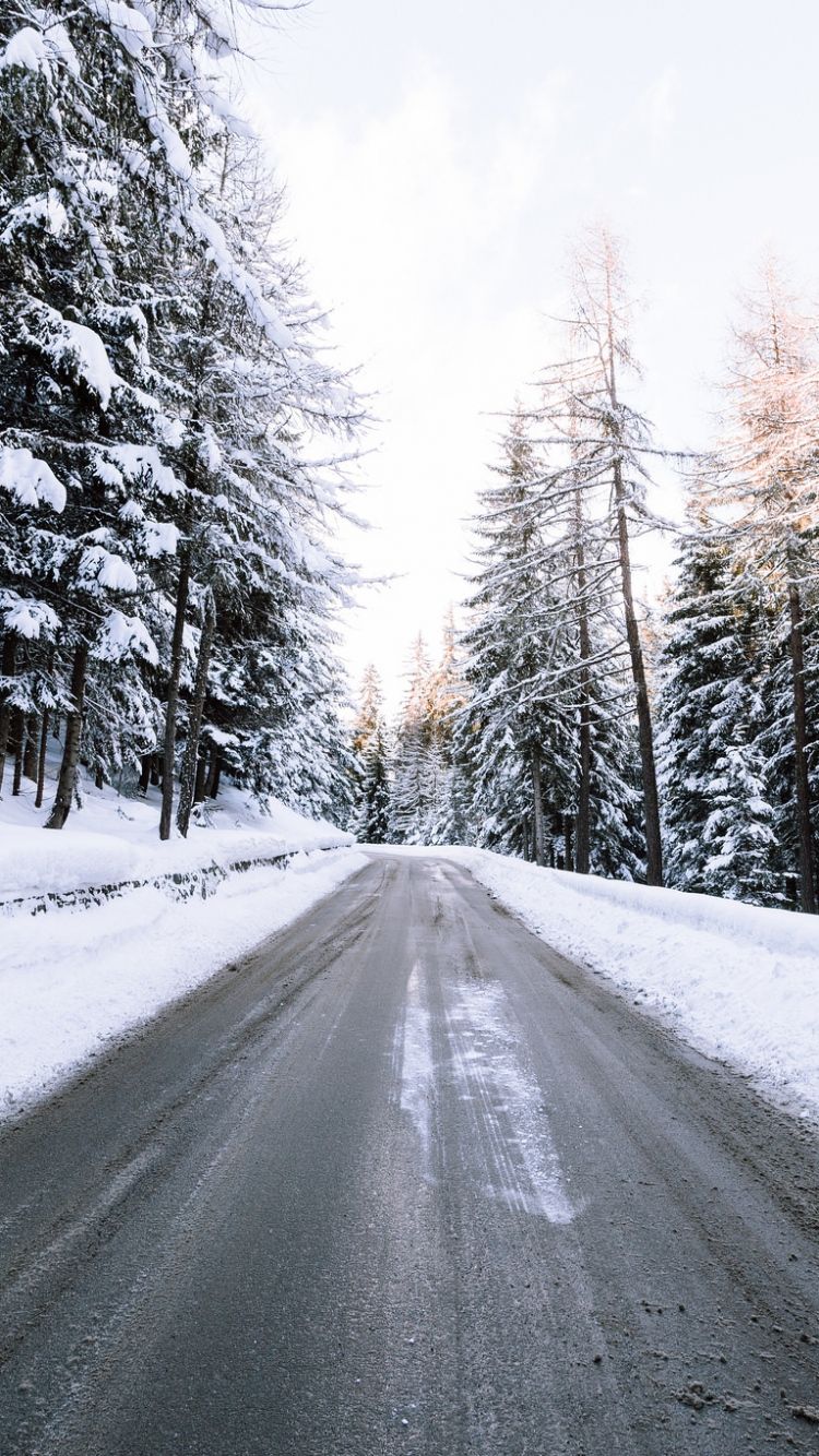 Road Between Snow Covered Trees Wallpapers