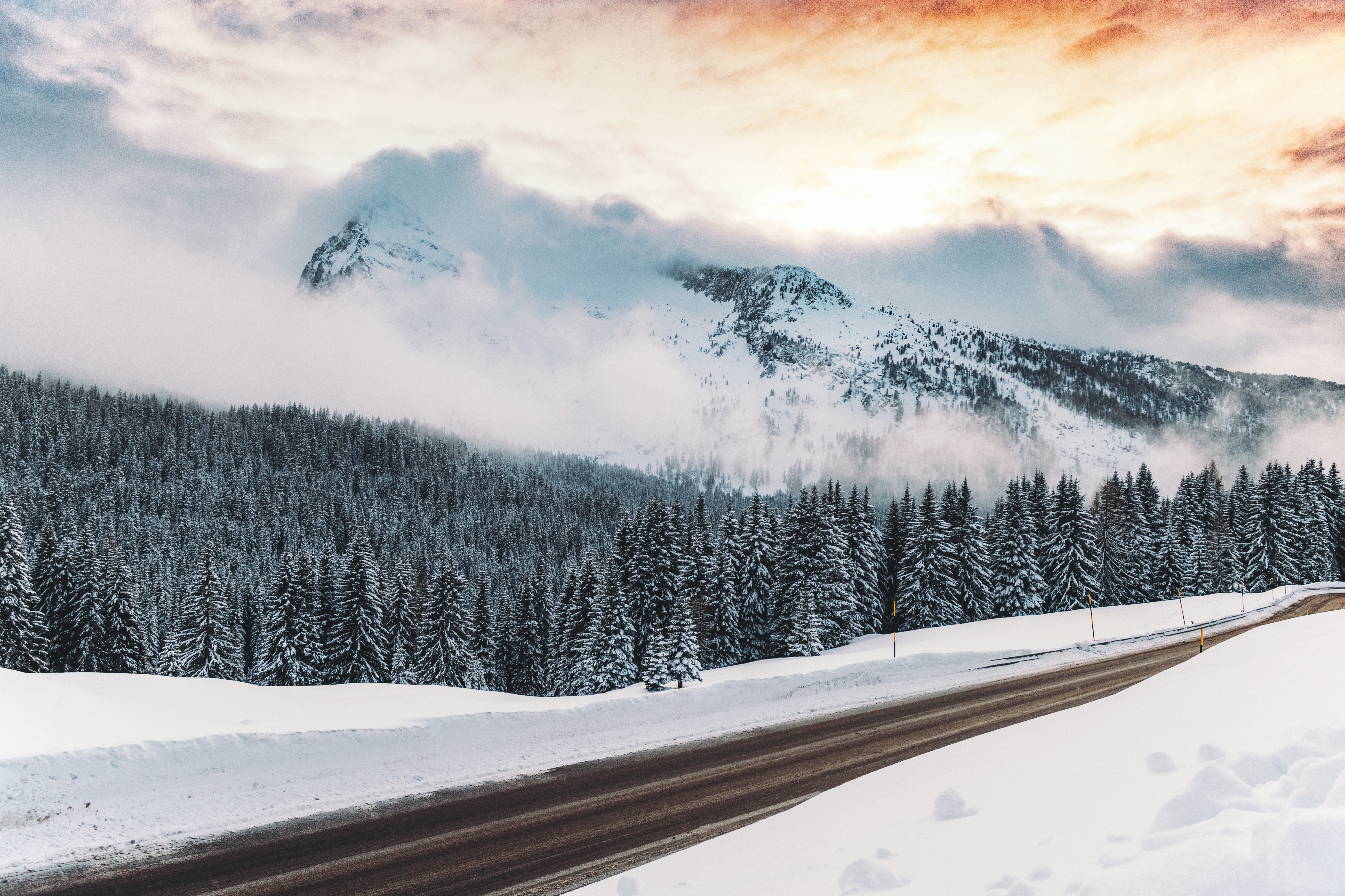 Road Between Snow Covered Trees Wallpapers