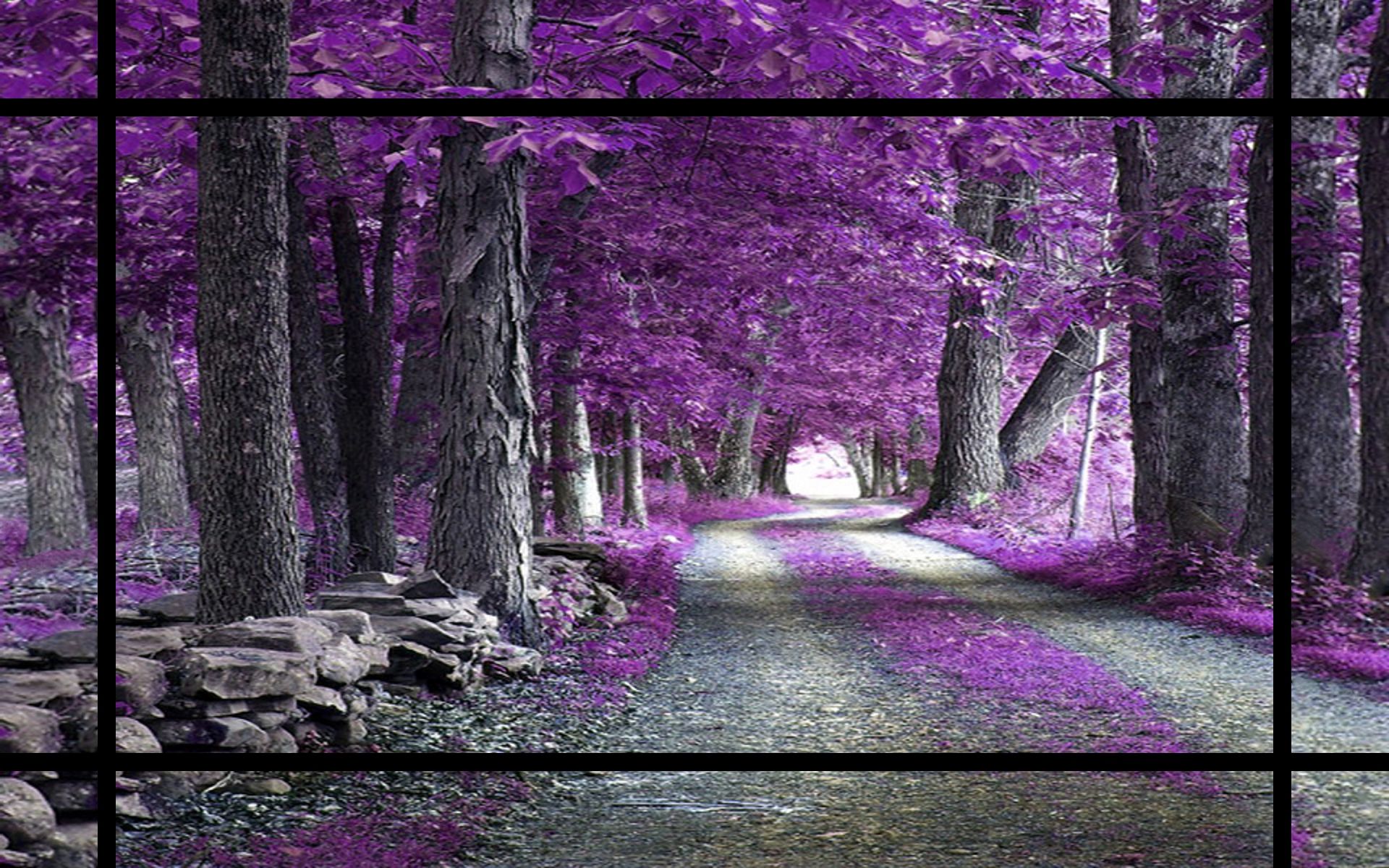 Road Purple Trees Wallpapers