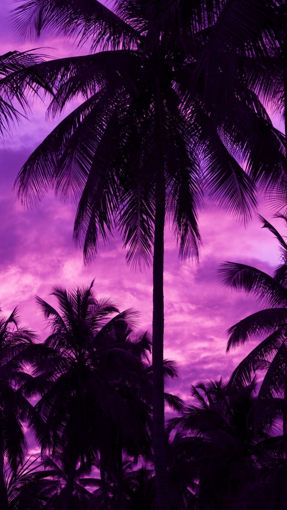 Road Purple Trees Wallpapers