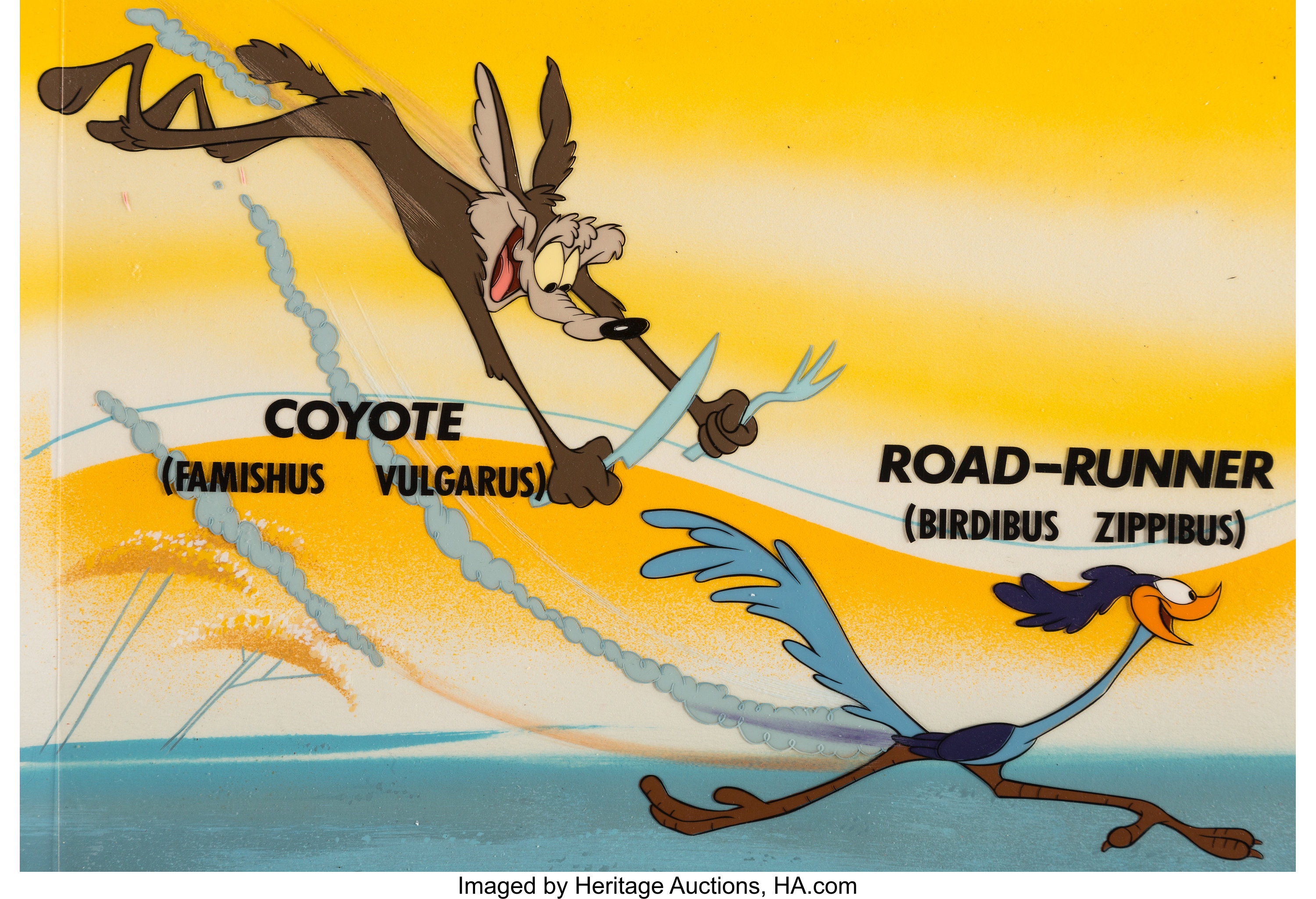 Road Runner Backgrounds