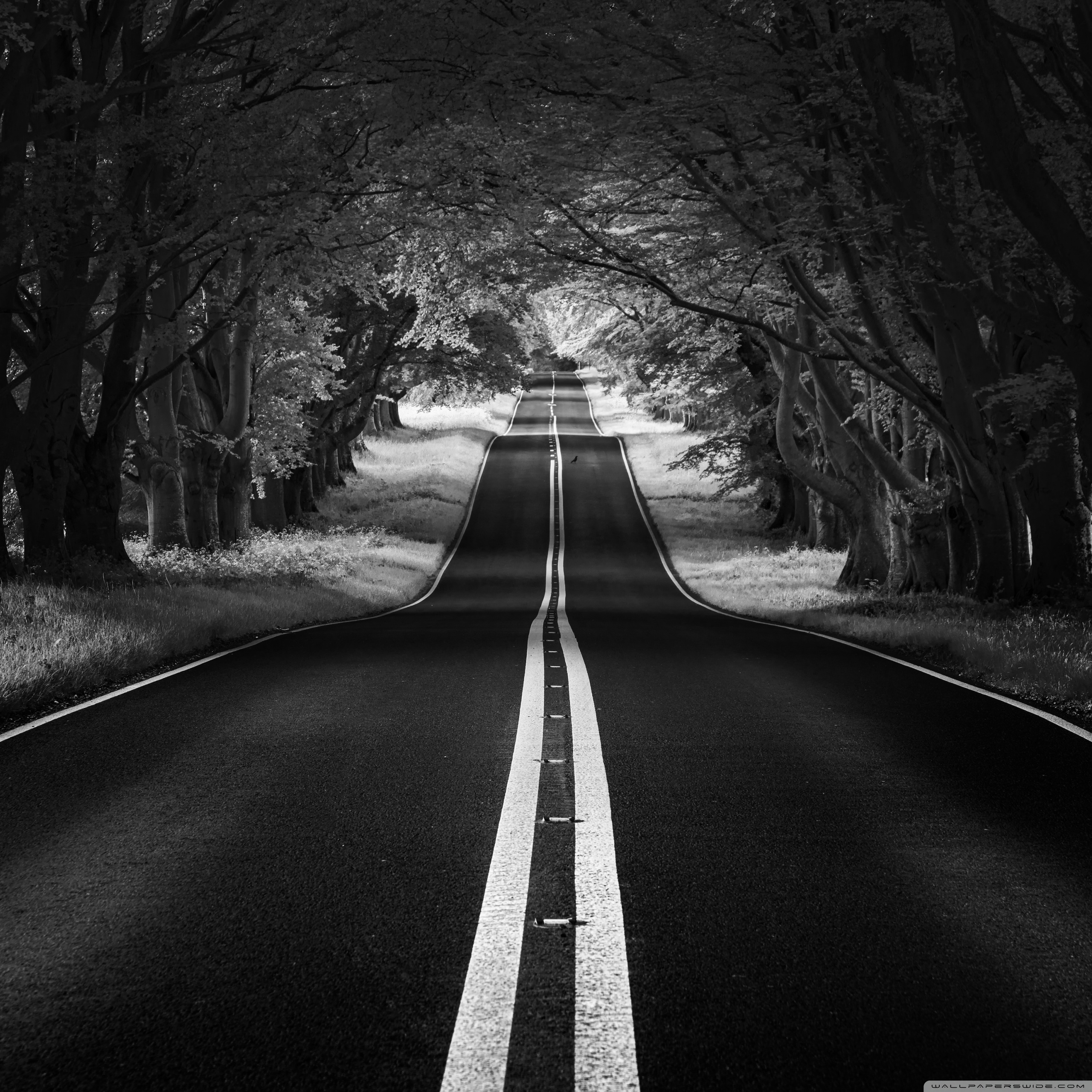 Road Wallpapers