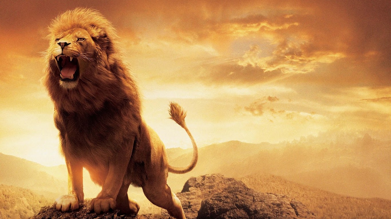 Roaring Lion Wallpapers