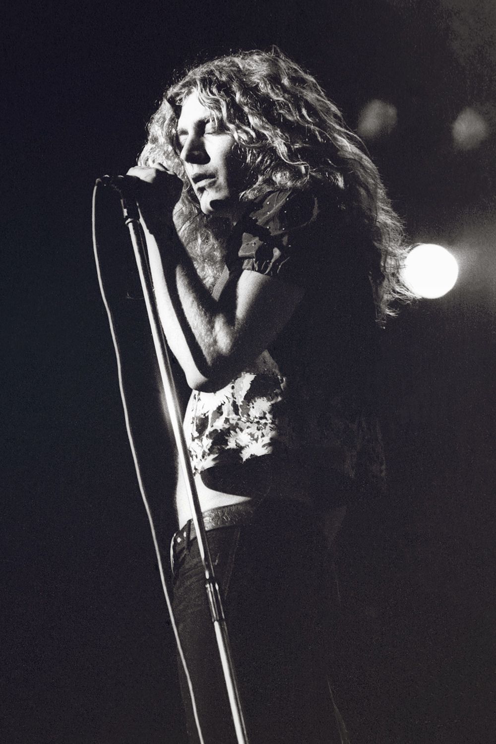 Robert Plant Wallpapers