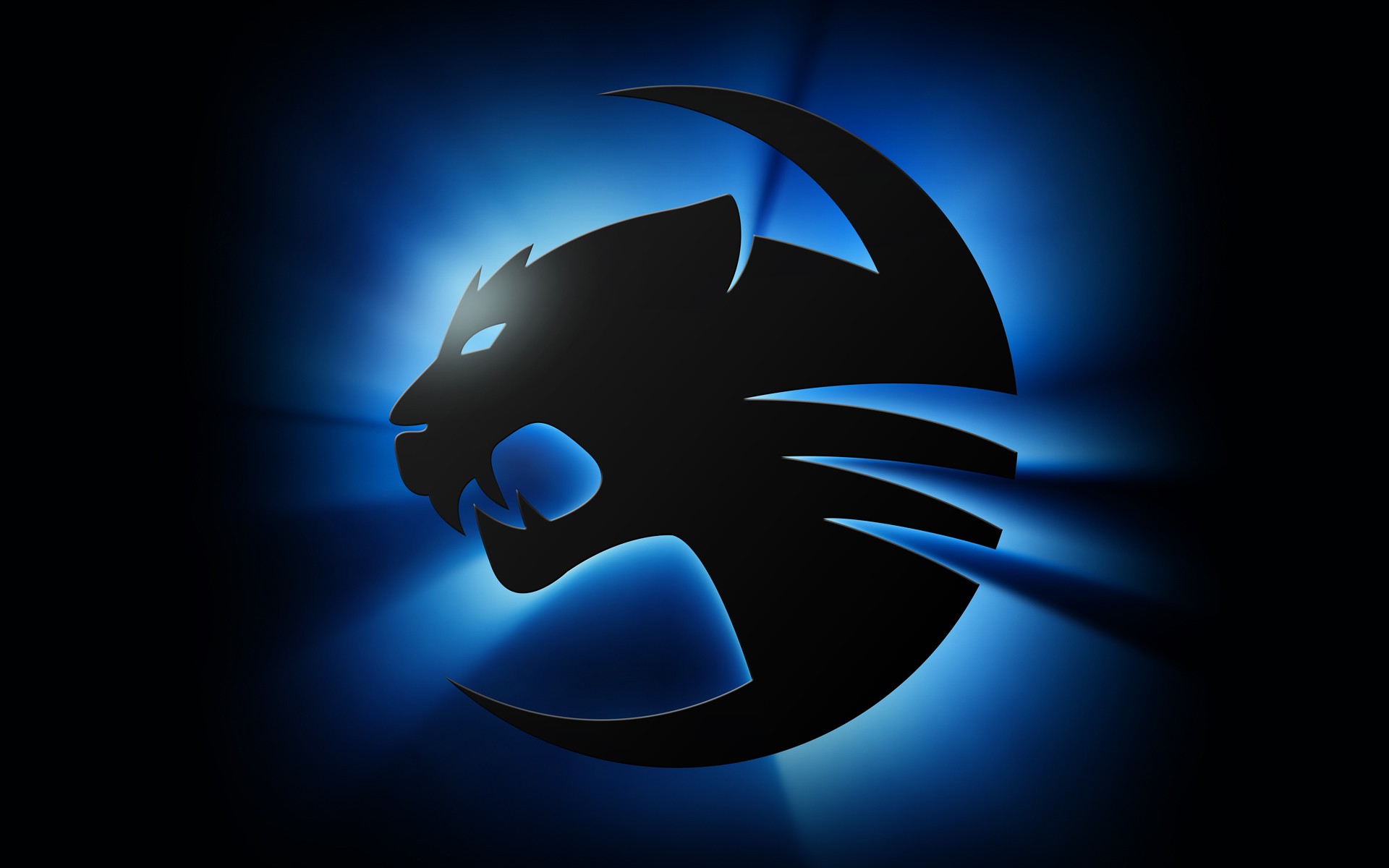 Roccat Wallpapers