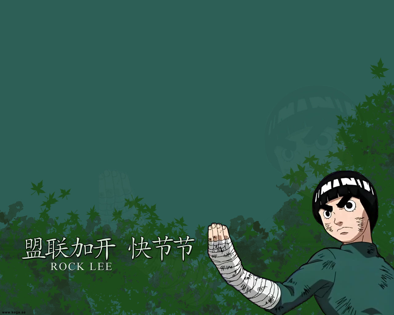 Rock Lee Aesthetic Wallpapers