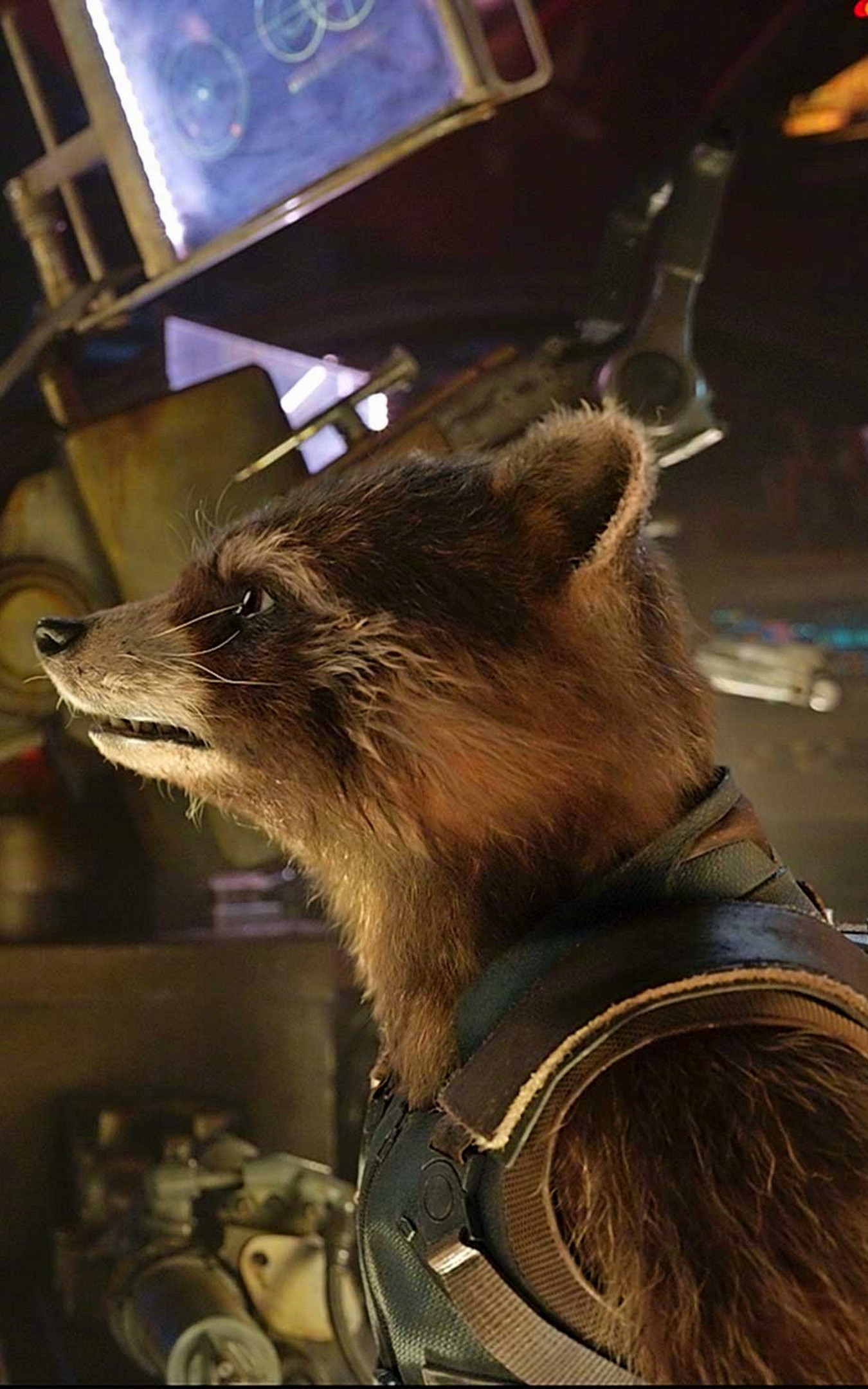 Rocket And Baby Groot Bait And Switch Wallpapers