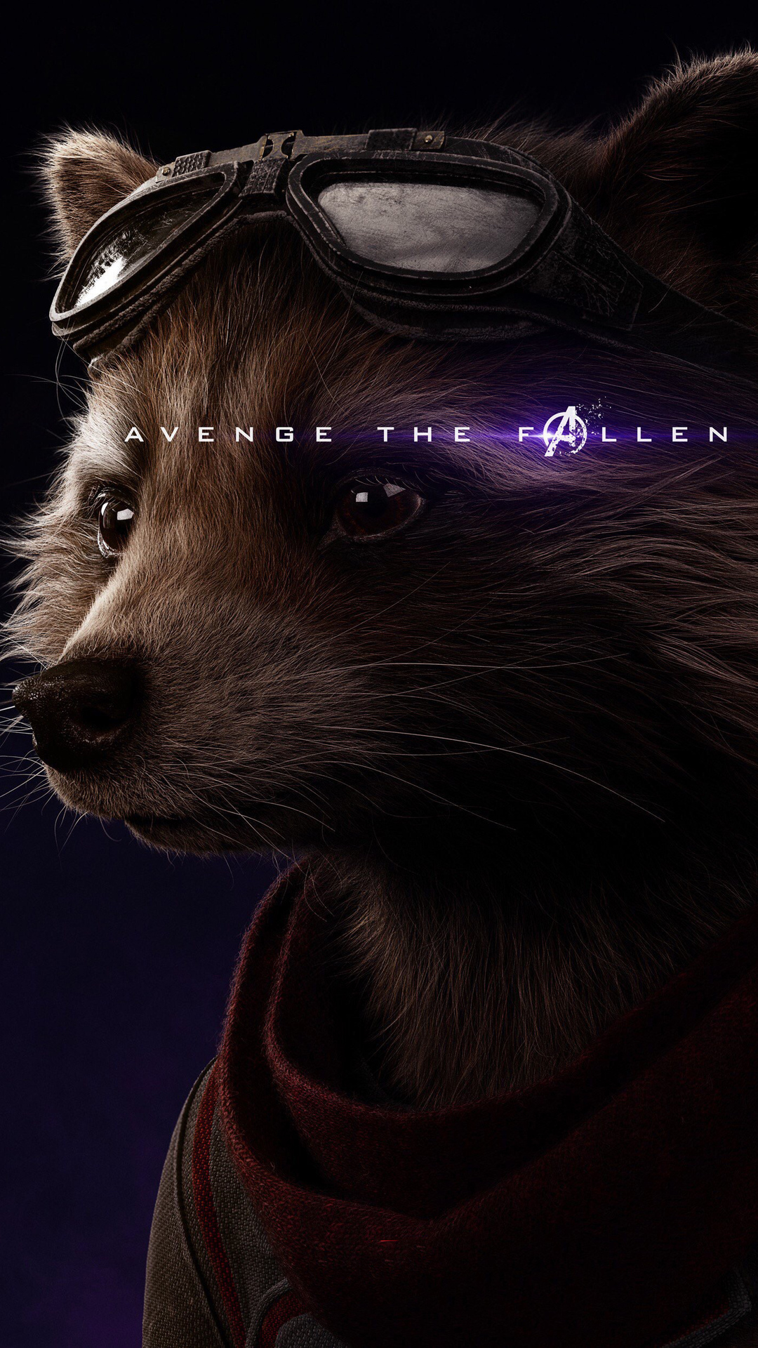 Rocket Raccoon In Avengers Endgame Wallpapers