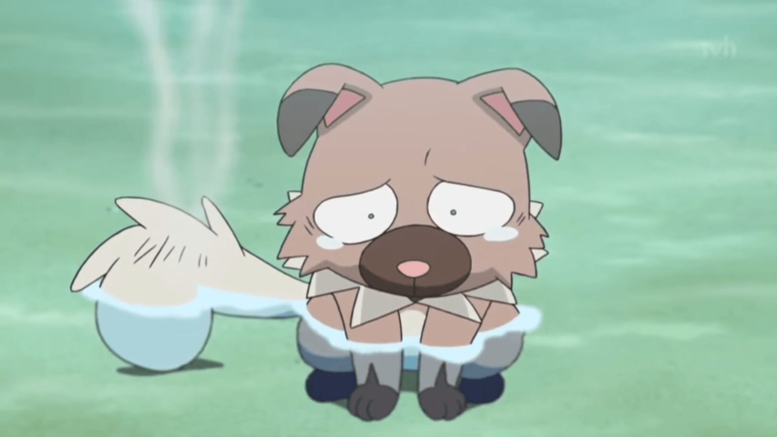 Rockruff Hd Wallpapers