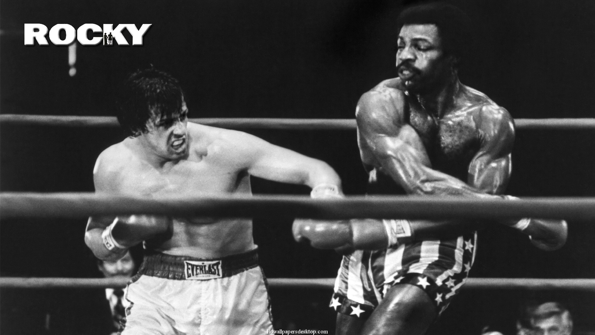 Rocky Balboa Wallpapers