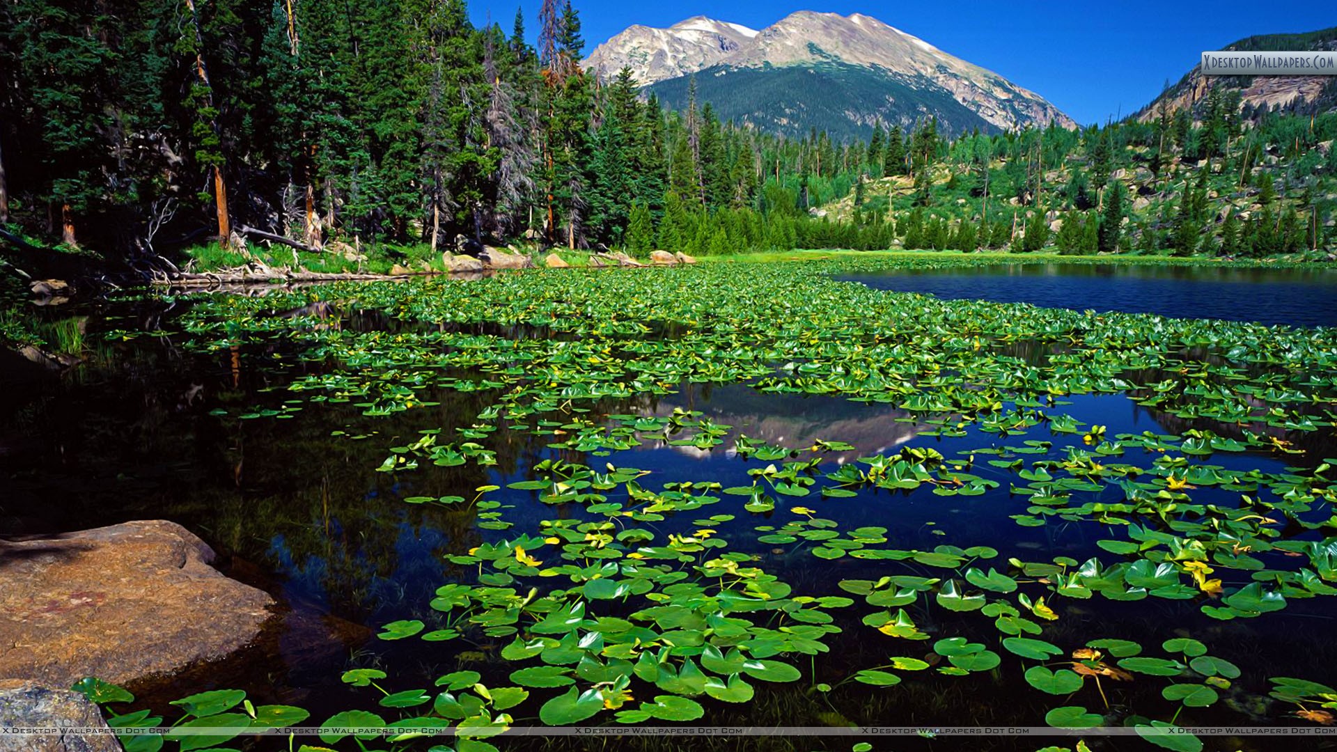 Rocky Mountain National Park Hd Wallpapers