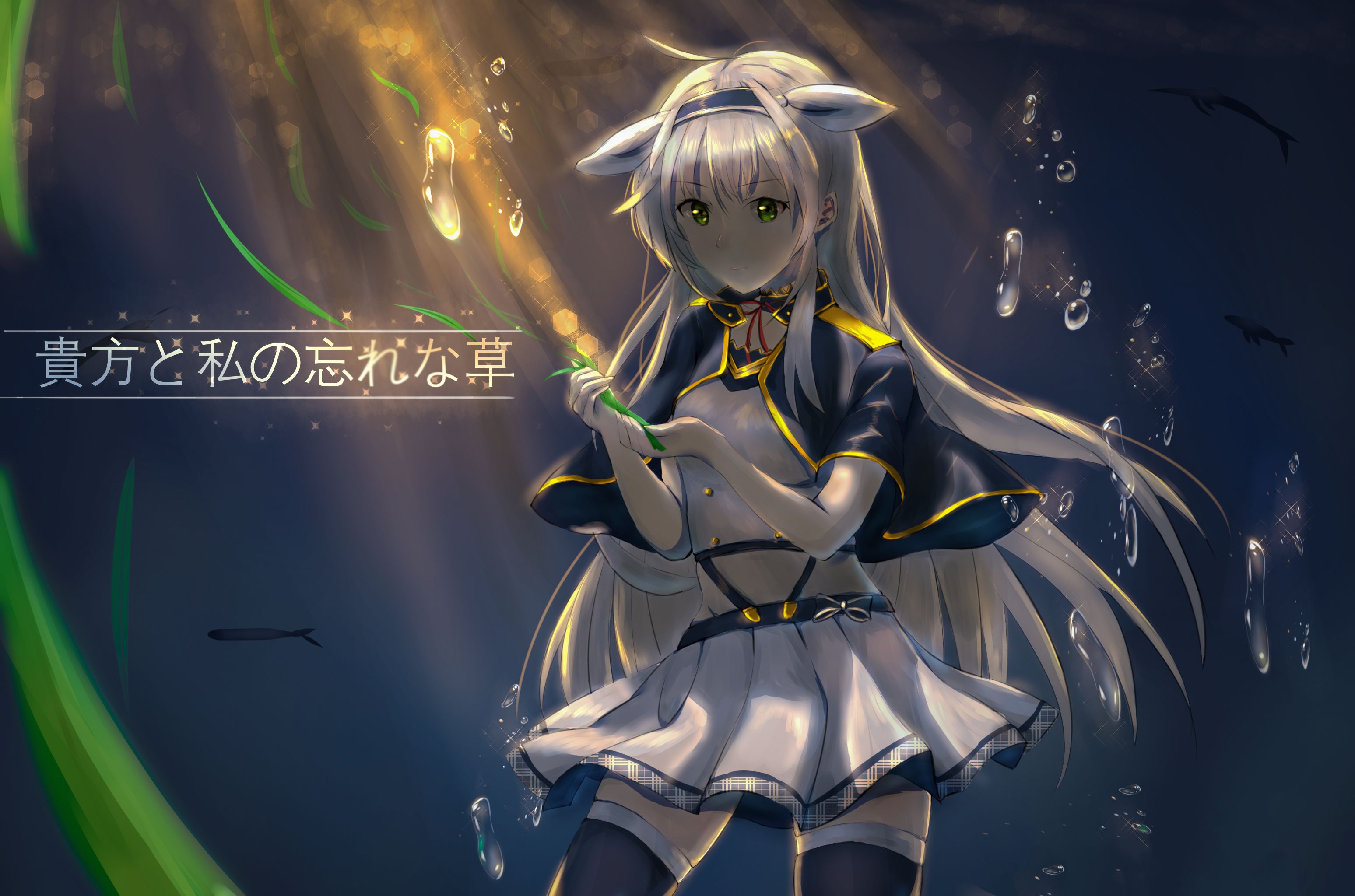 Rokudenashi Majutsu Koushi To Akashic Records Wallpapers