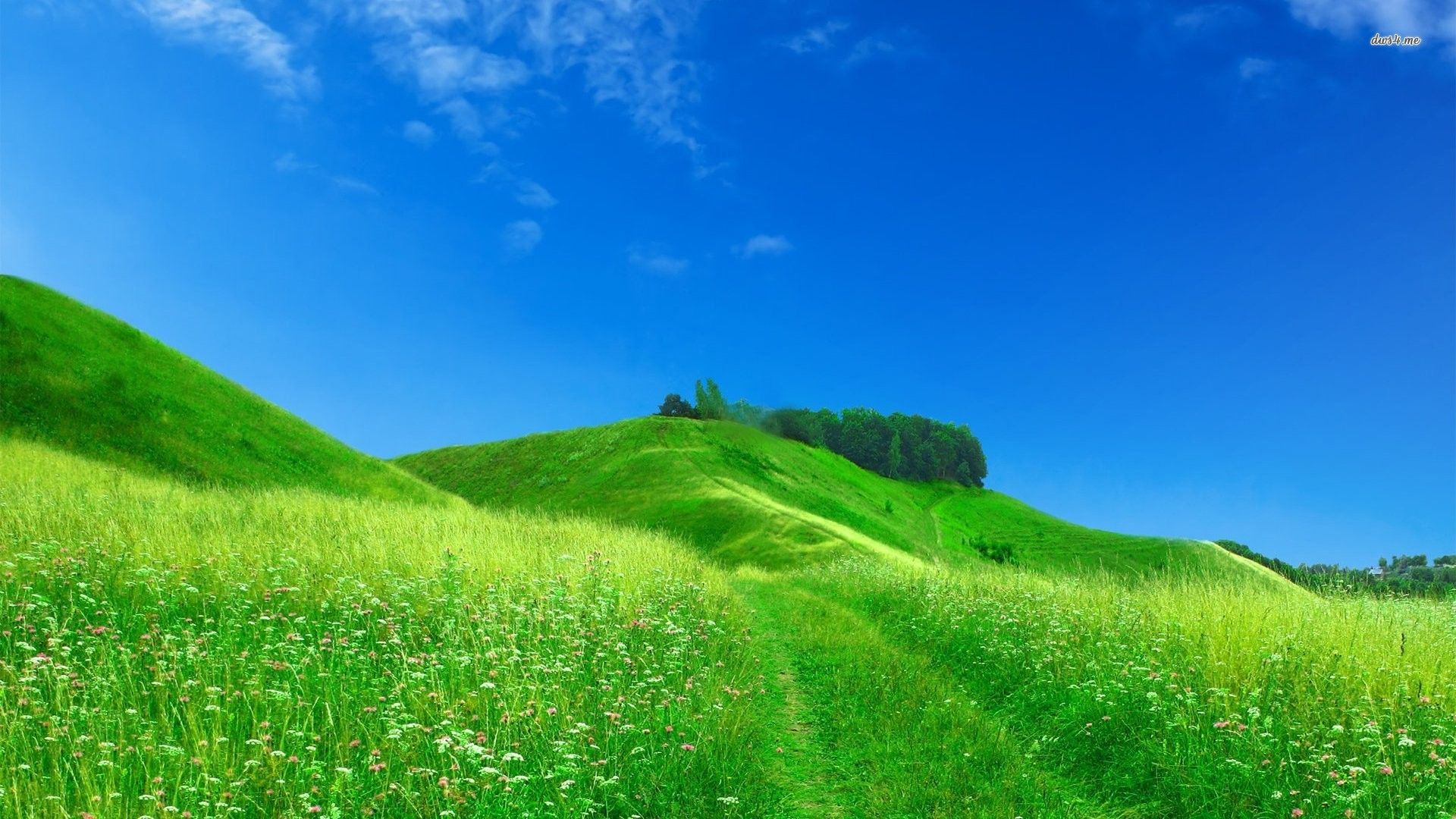 Rolling Green Hills Wallpapers