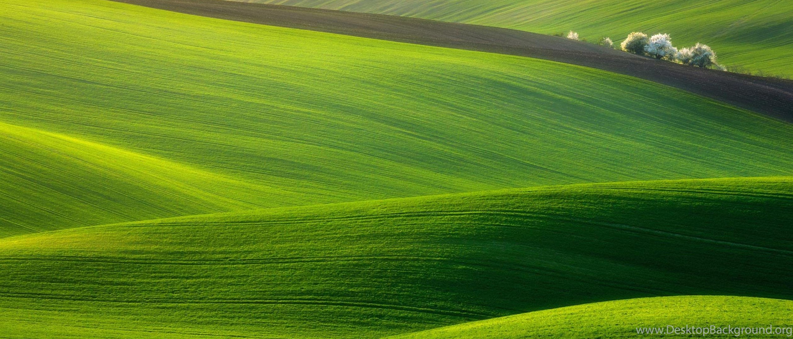 Rolling Green Hills Wallpapers