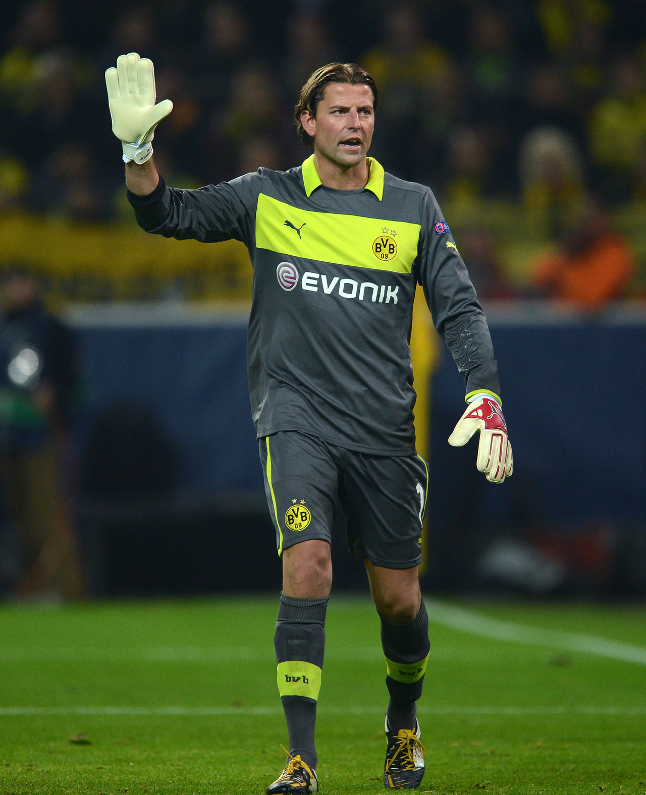 Roman Weidenfeller Wallpapers