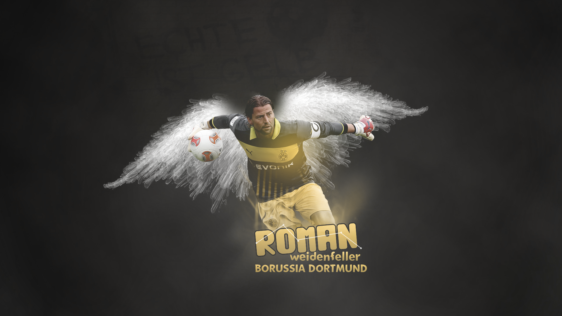 Roman Weidenfeller Wallpapers