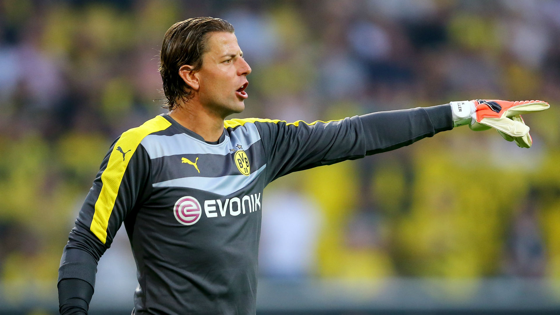 Roman Weidenfeller Wallpapers